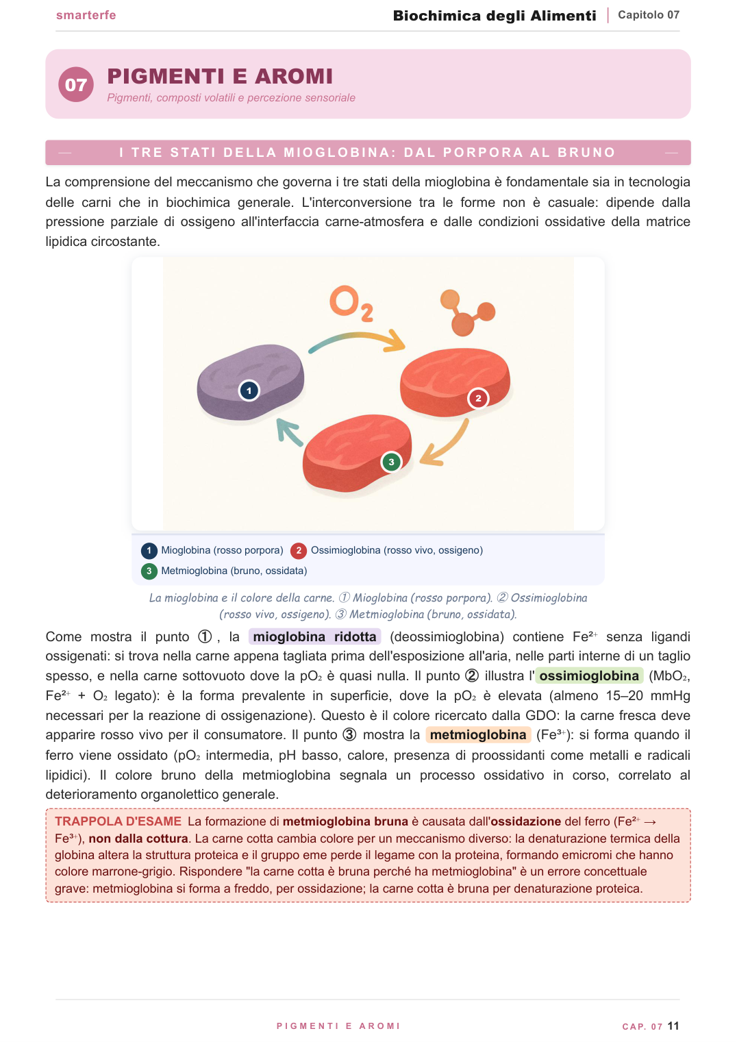 Le proteine: struttura, denaturazione e propriet&agrave; funzionali