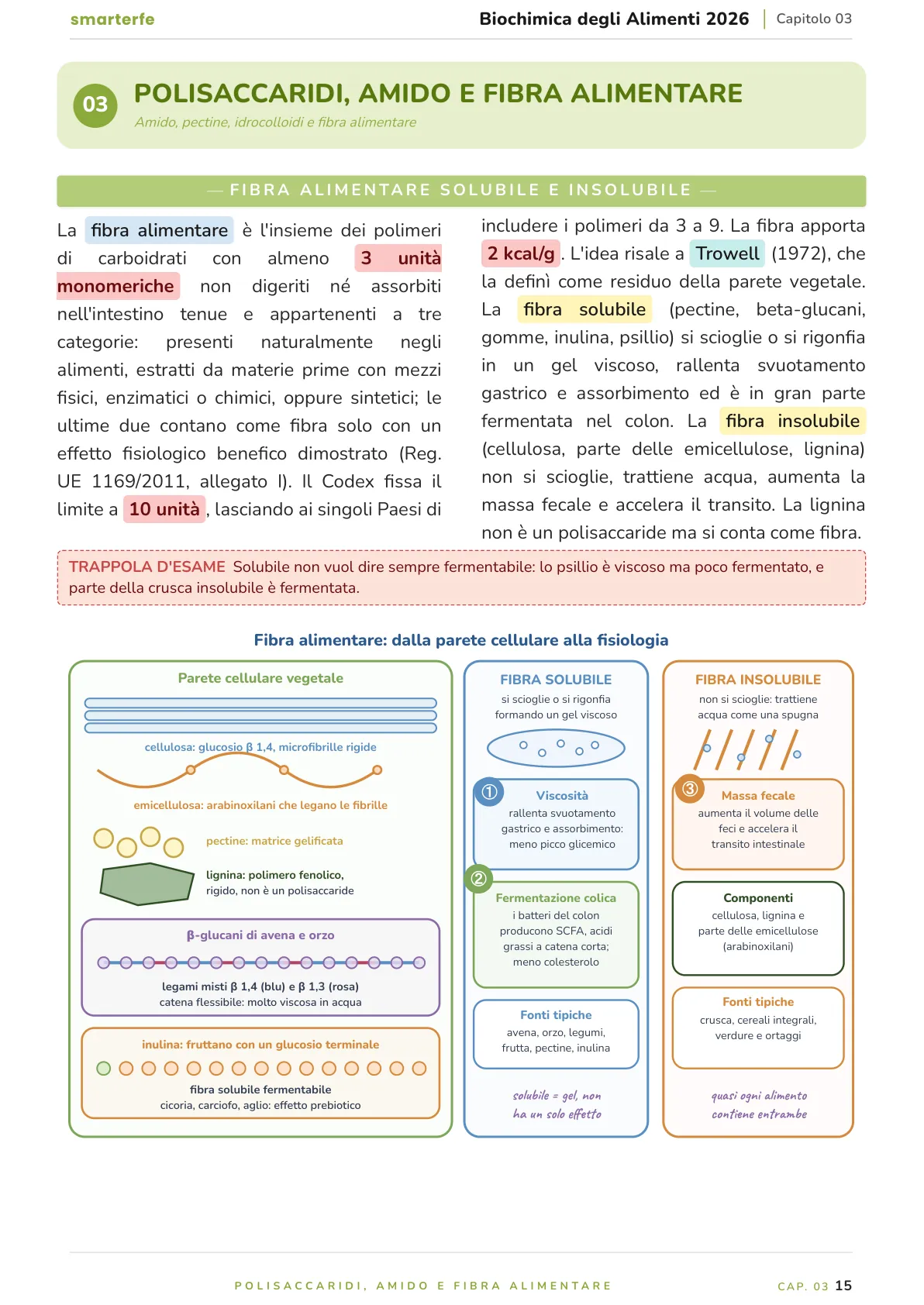 Lo stesso argomento sulle Dispense SmarterFe: schema, passaggi numerati, colori