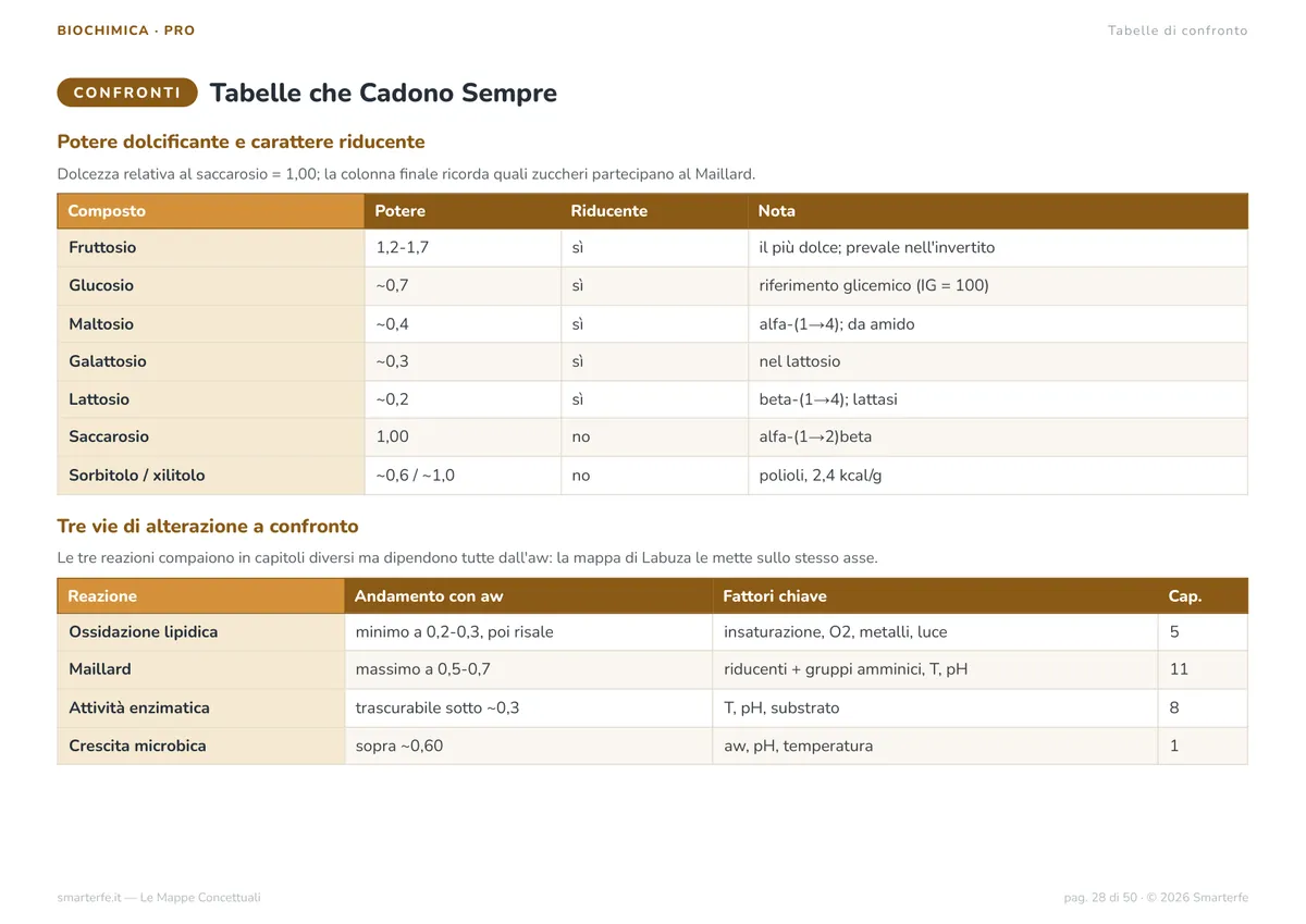 Mappe Concettuali