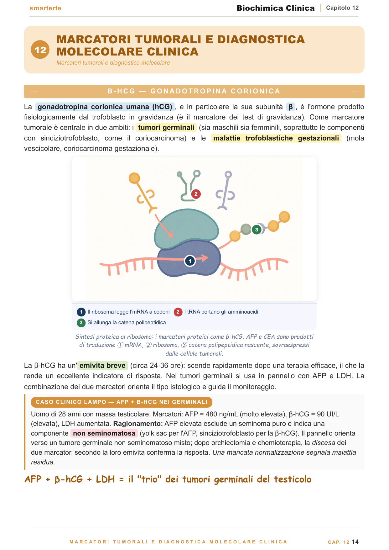 Marcatori cardiaci, endocrini e tumorali con casi clinici svolti