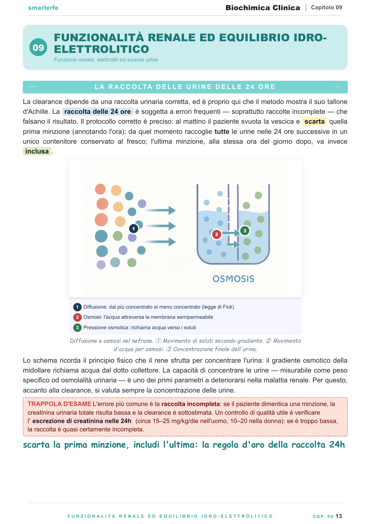 Funzionalita epatica, renale ed equilibrio idro-elettrolitico