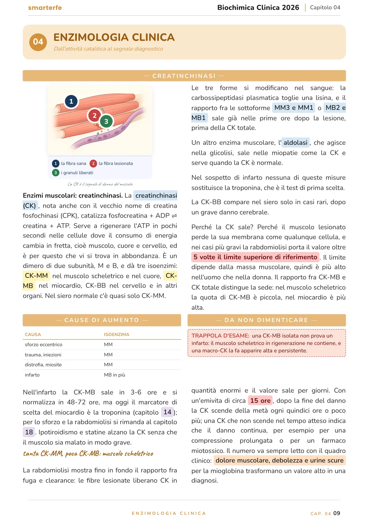 Lo stesso argomento sulle Dispense SmarterFe: schema, passaggi numerati, colori