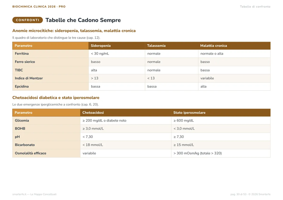 Mappe Concettuali
