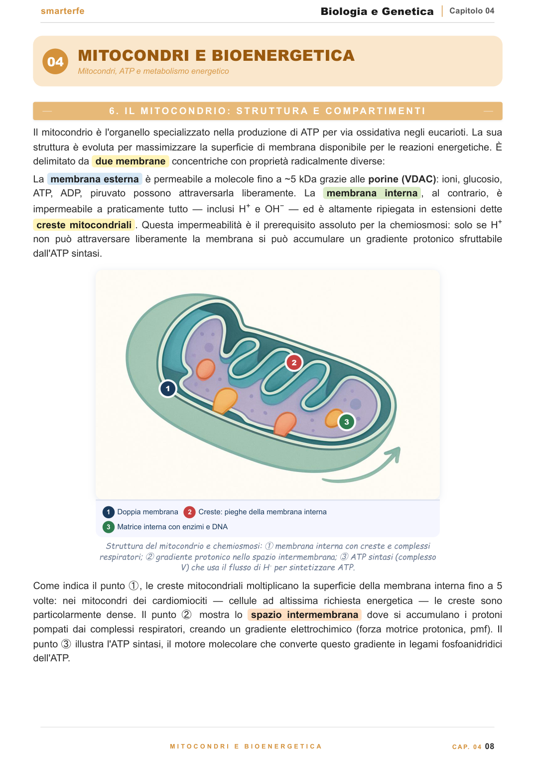 Dispense Biologia e Genetica Smarter per il semestre filtro