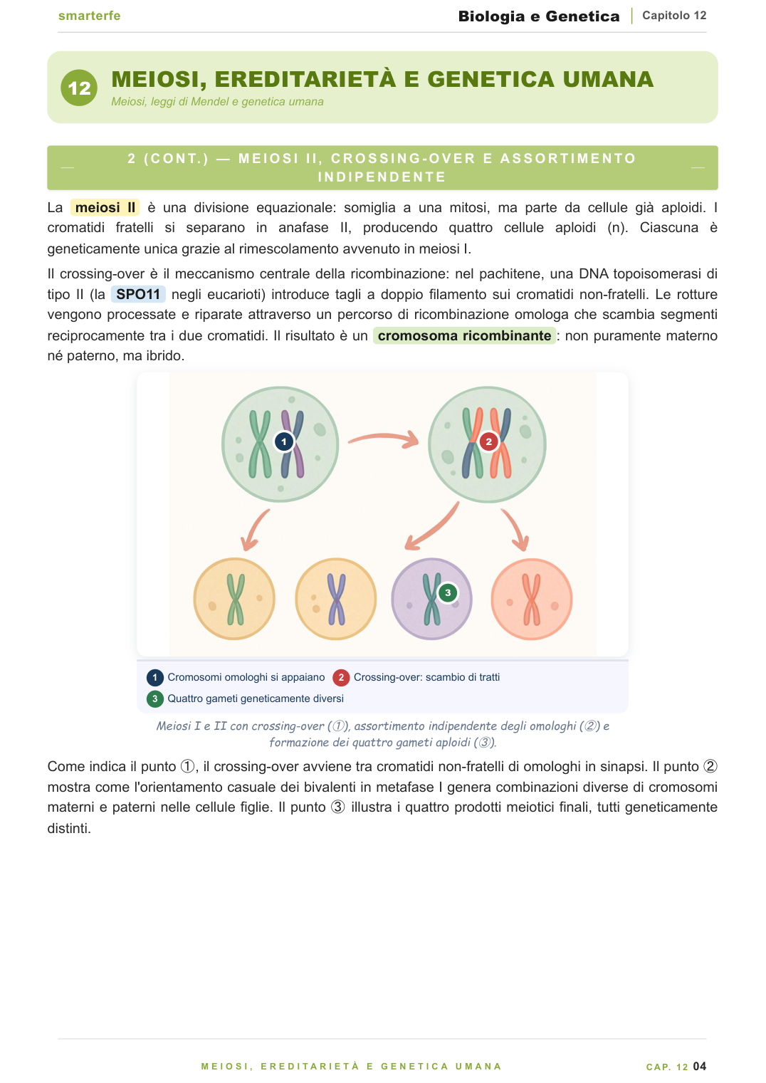 Anteprima Biologia e Genetica pagina interna