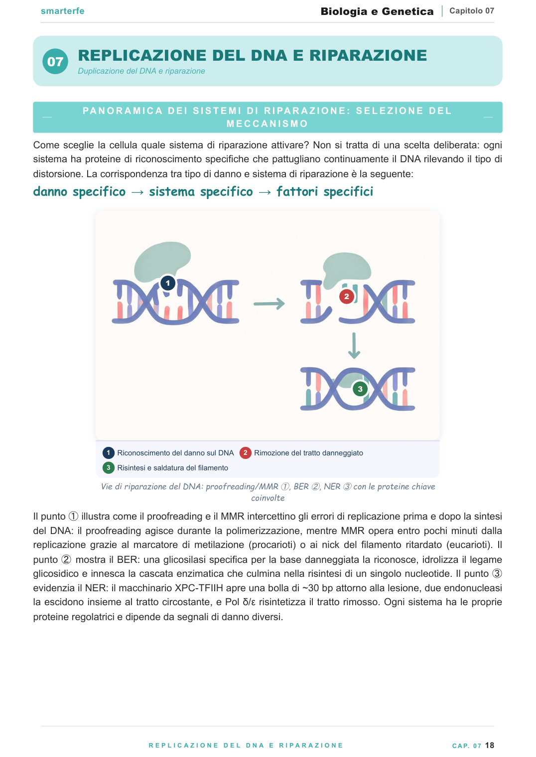 Anteprima Biologia e Genetica pagina interna