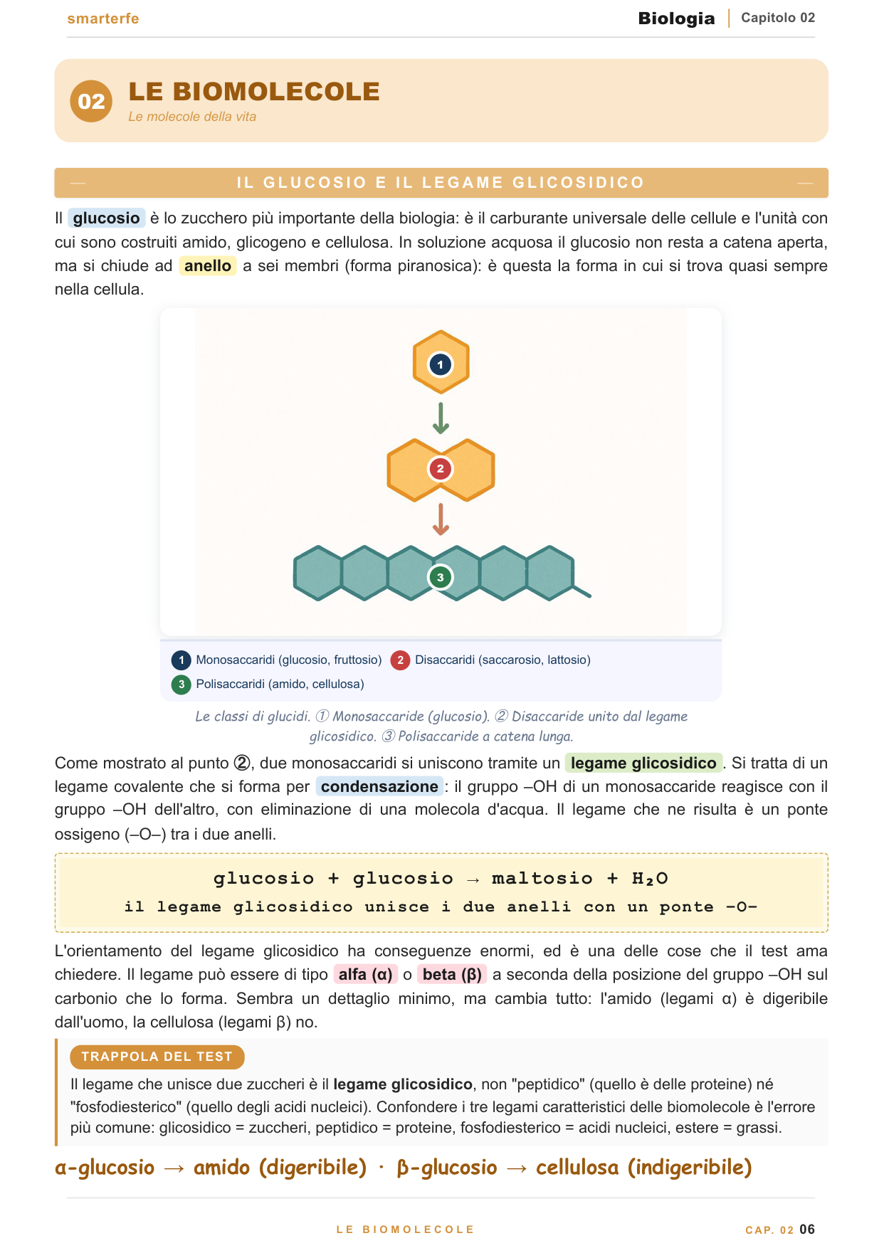 Copertina dispensa Biologia per il Test di Professioni Sanitarie