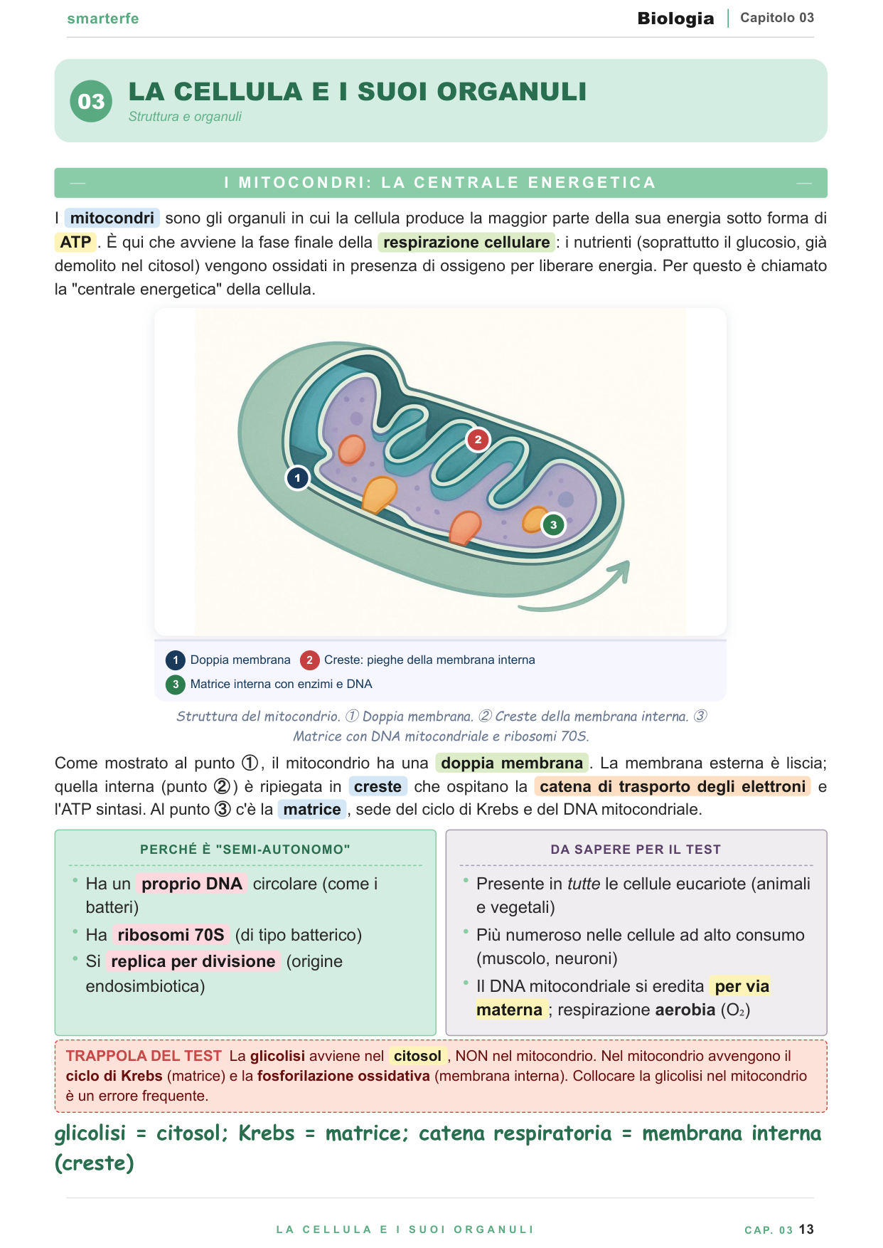 Dispense Biologia Smarter per il Test di Professioni Sanitarie