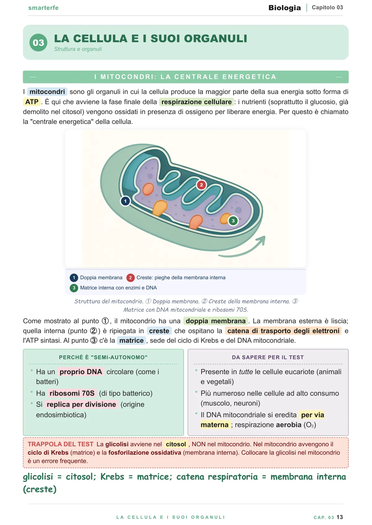 Dispense Biologia Smarter per il Test di Professioni Sanitarie