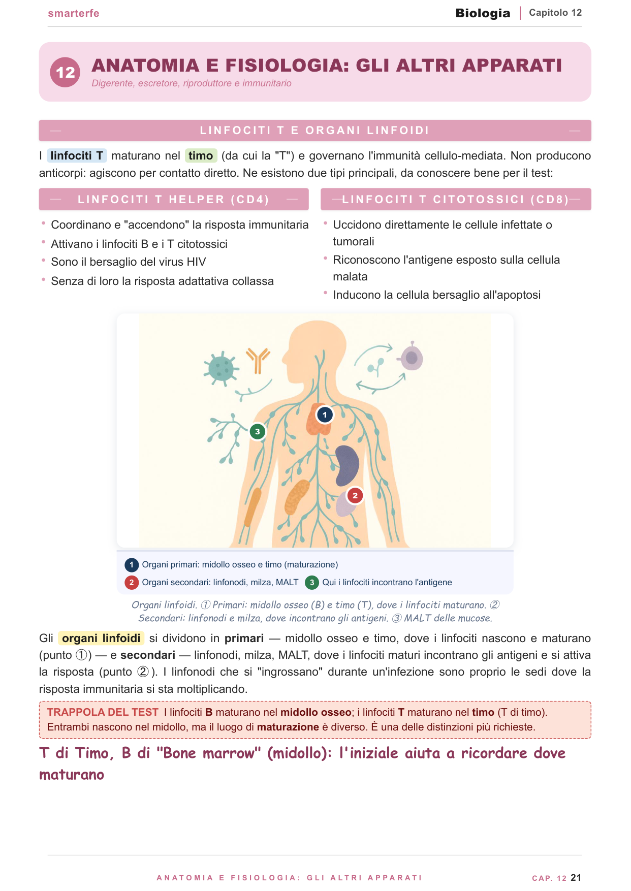 Genetica mendeliana ed ereditarietà: leggi di Mendel e quadrato di Punnett