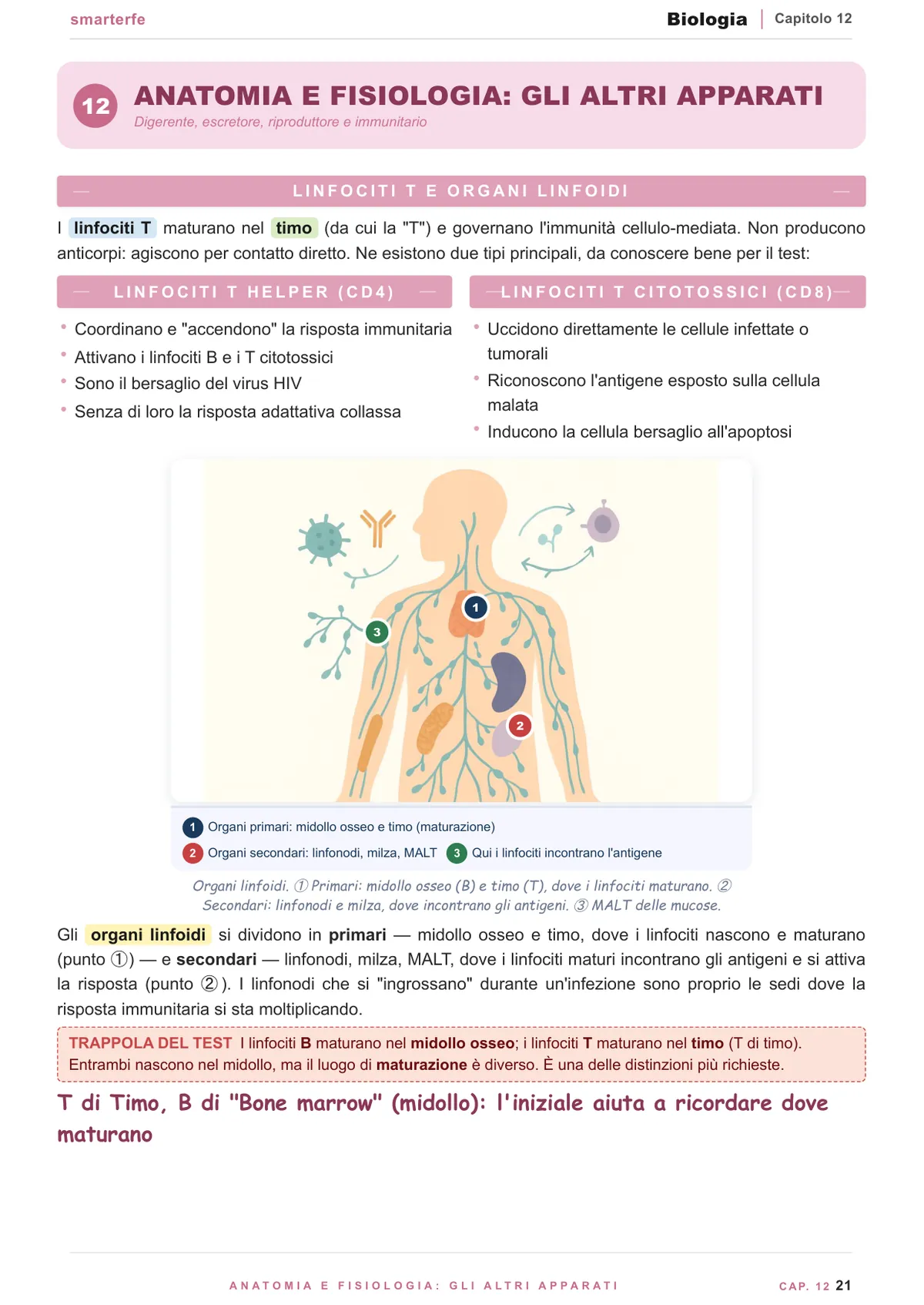 Genetica mendeliana ed ereditarietà: leggi di Mendel e quadrato di Punnett
