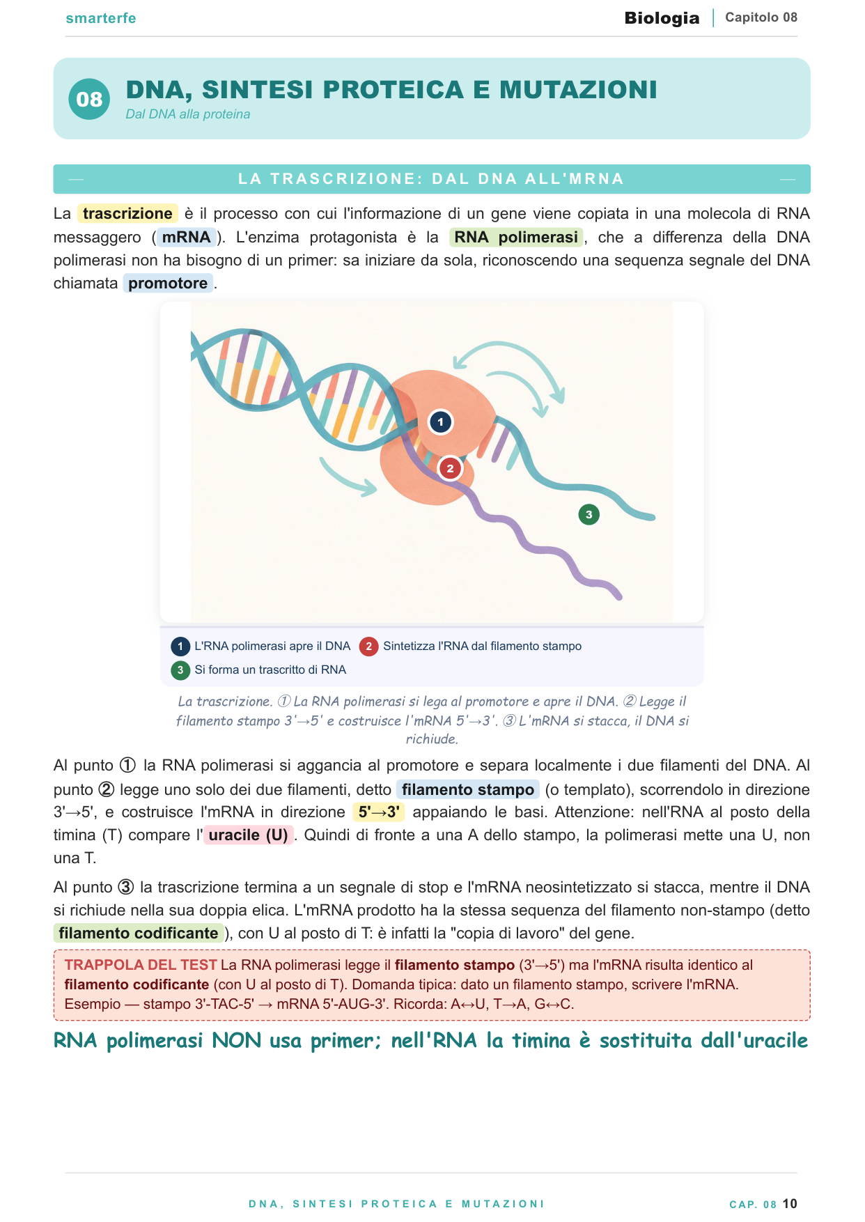Membrane e trasporti cellulari: diffusione, trasporto attivo e passivo