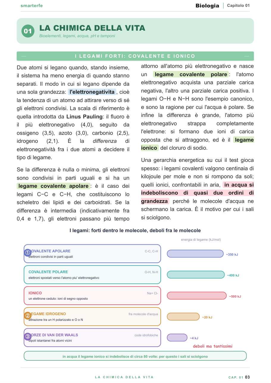 Copertina dispensa Biologia per il TOLC-F