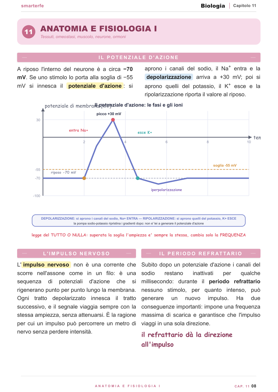 Genetica mendeliana ed ereditarietà: leggi di Mendel e quadrato di Punnett