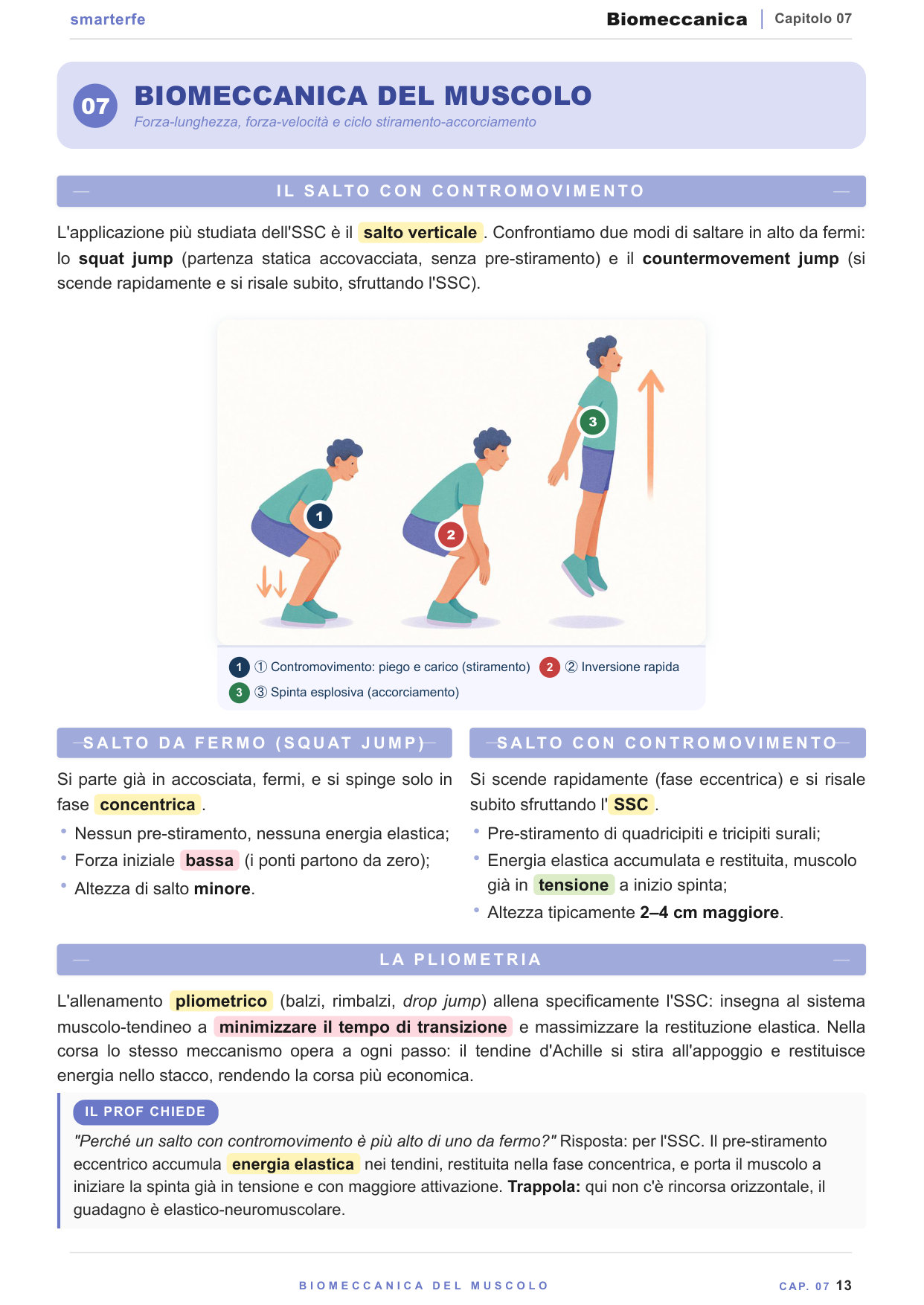 Curva forza-velocità del muscolo e ciclo stiramento-accorciamento