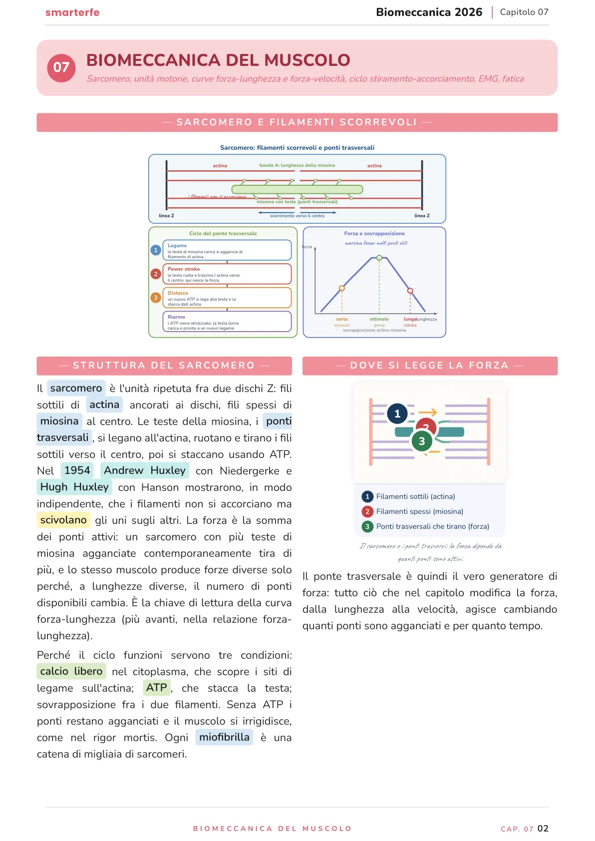 Lo stesso argomento sulle Dispense SmarterFe: schema, passaggi numerati, colori