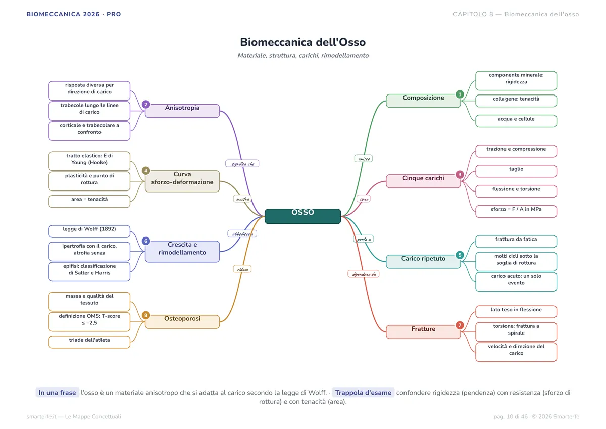 Mappe Concettuali