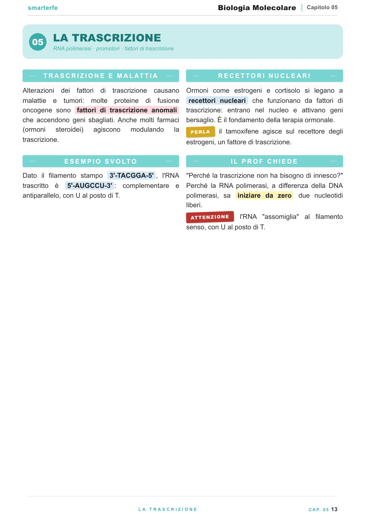 Trascrizione e traduzione: dal gene alla proteina