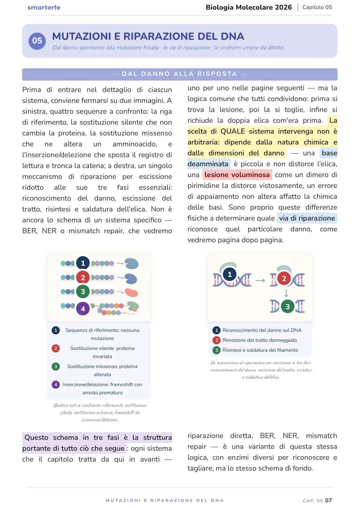 Lo stesso argomento sulle Dispense SmarterFe: schema, passaggi numerati, colori