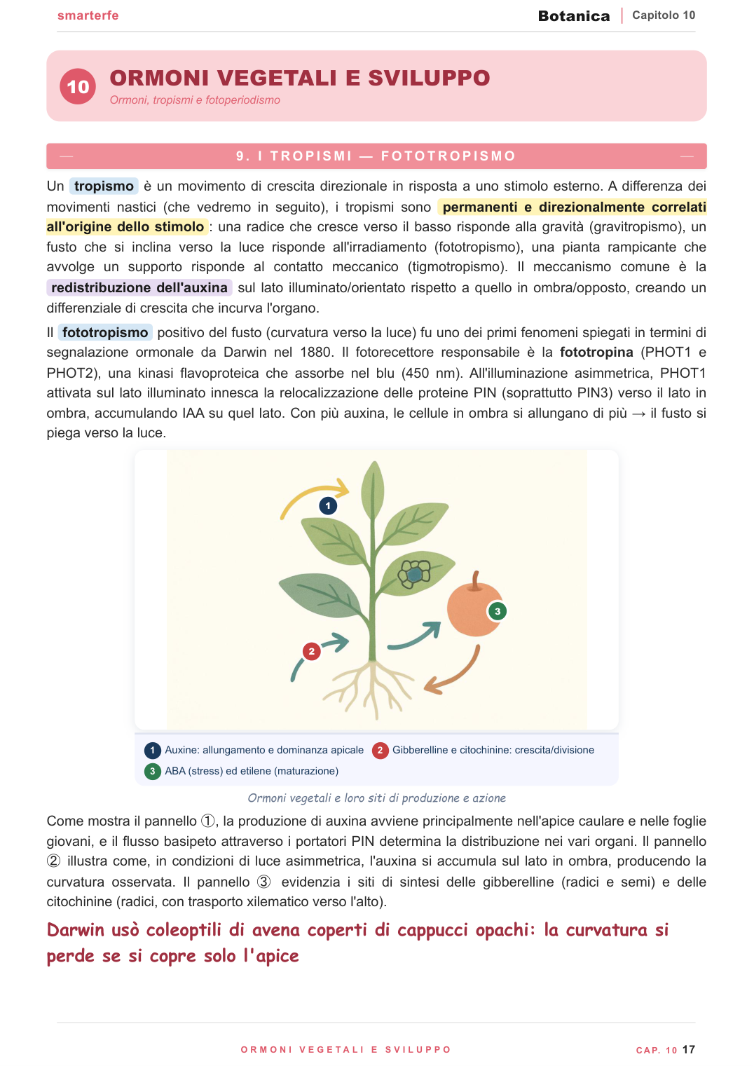 Riproduzione, fiore, impollinazione e diversità vegetale