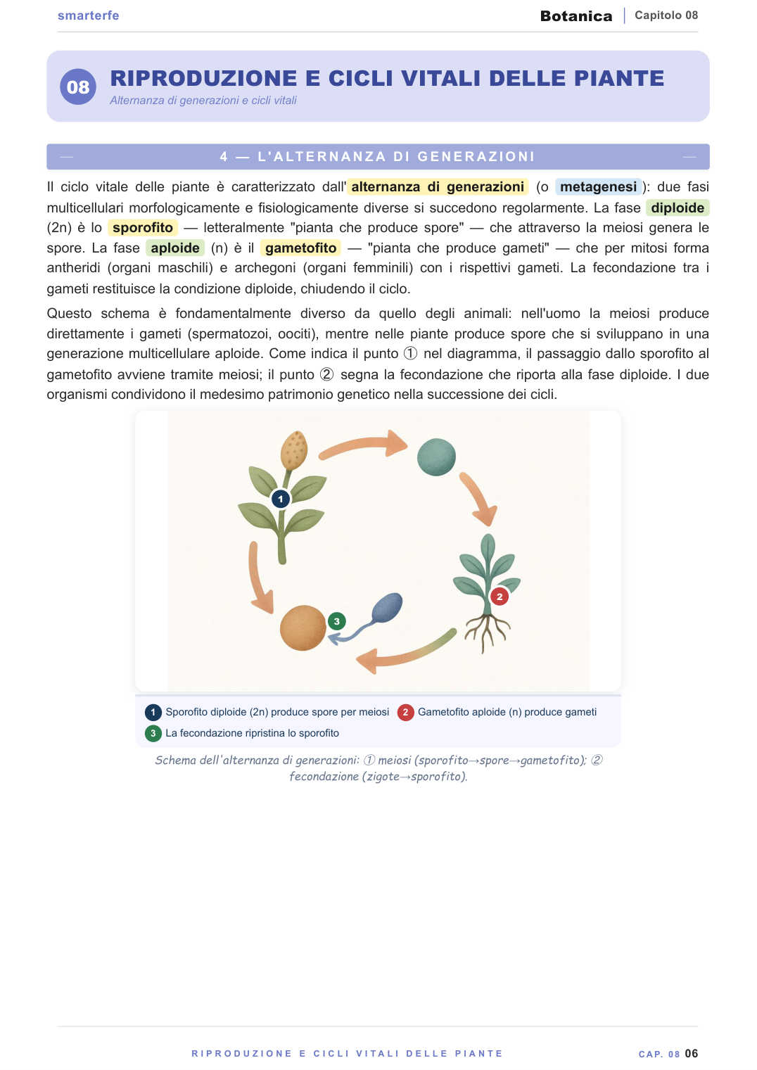 Fotosintesi e metabolismo del carbonio — ciclo di Calvin