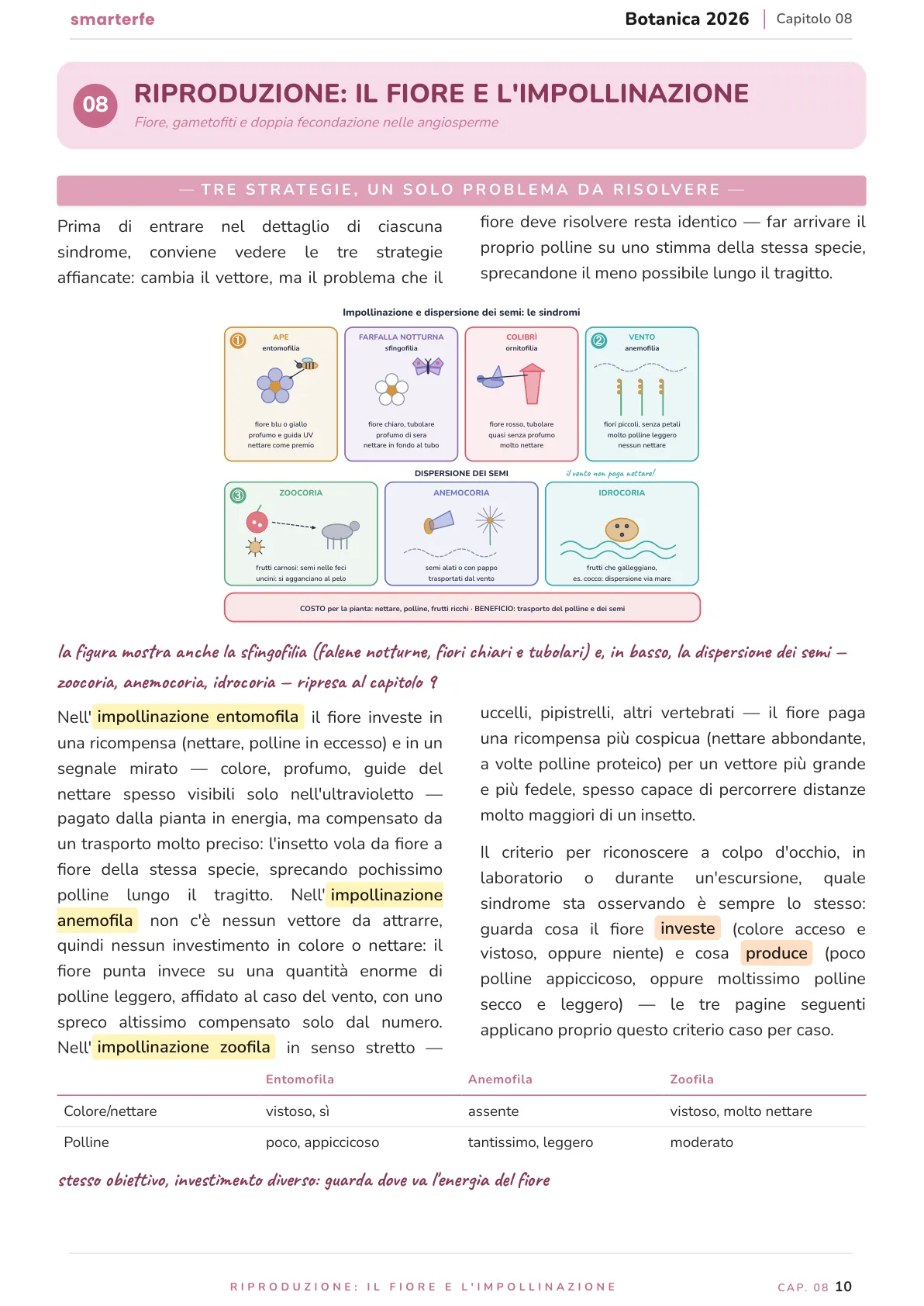 Lo stesso argomento sulle Dispense SmarterFe: schema, passaggi numerati, colori
