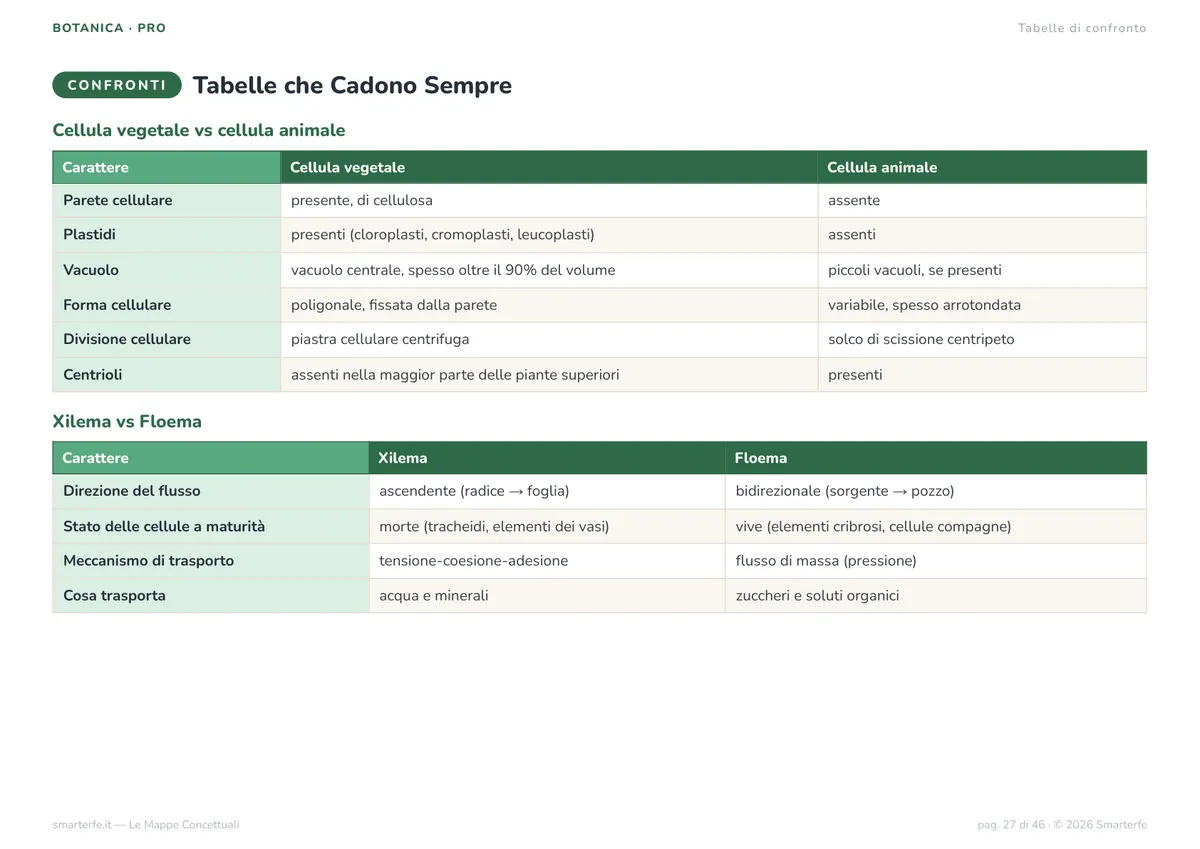 Mappe Concettuali