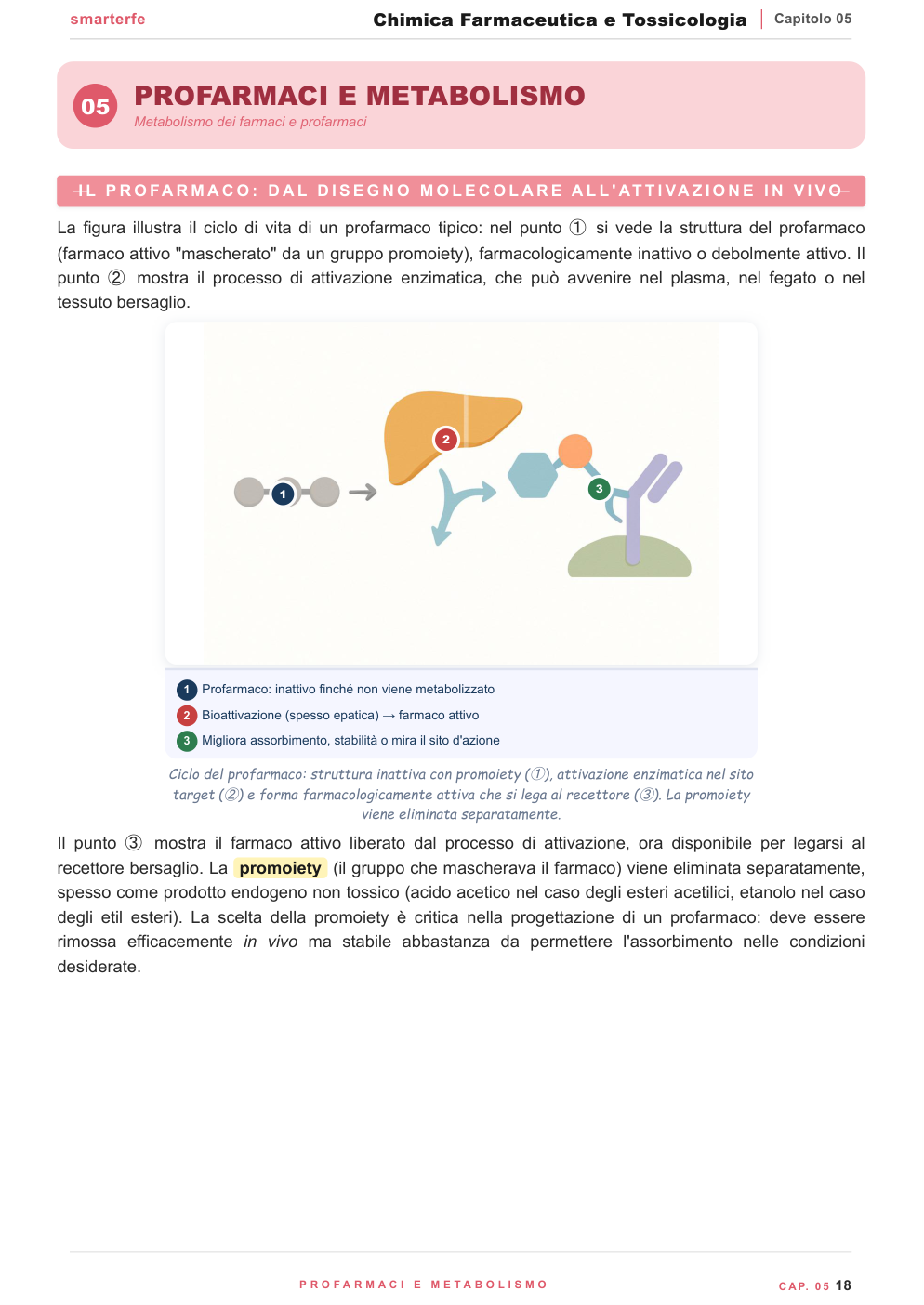Farmaco e bersaglio — enzimi, recettori, canali, acidi nucleici