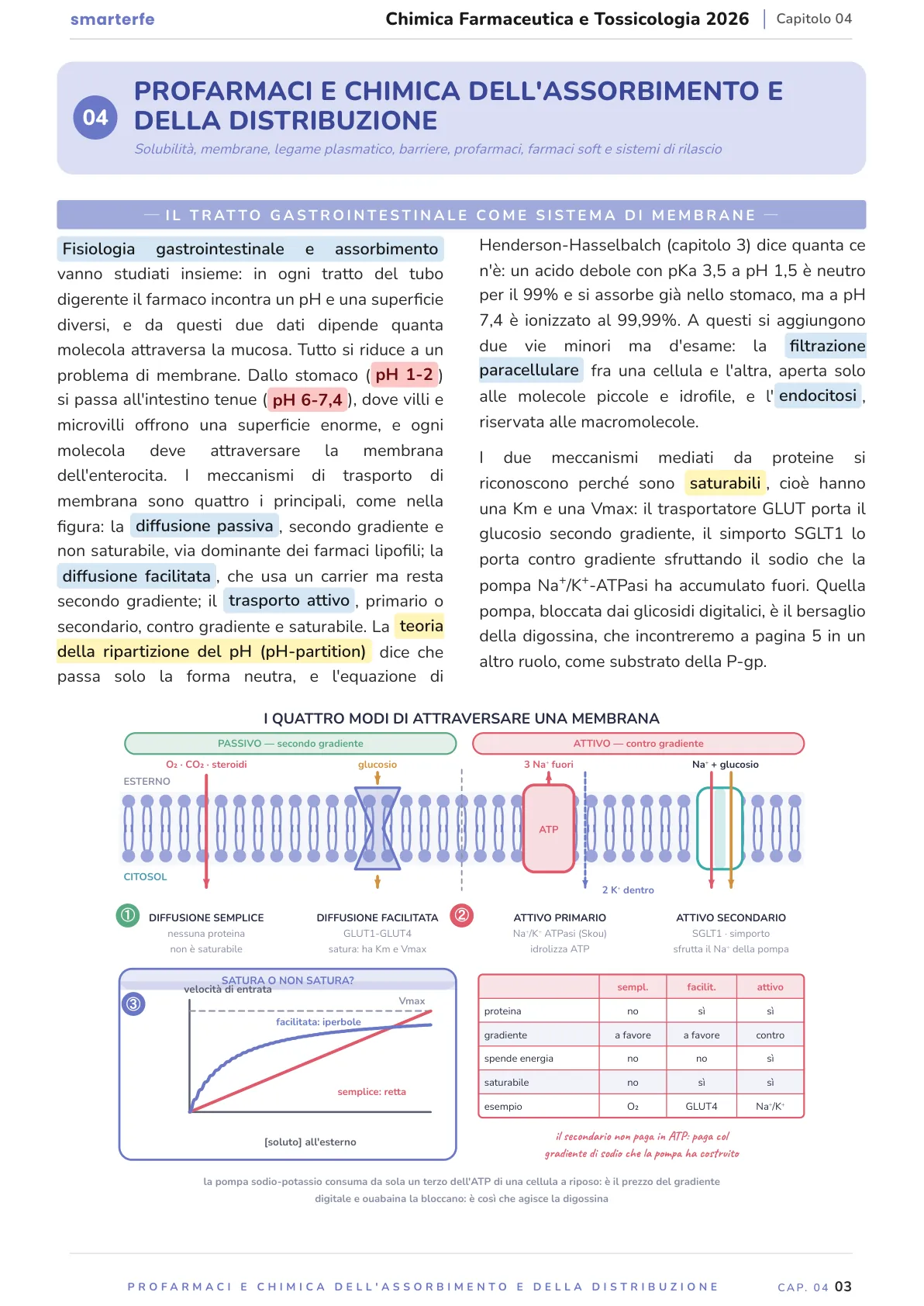 Lo stesso argomento sulle Dispense SmarterFe: schema, passaggi numerati, colori