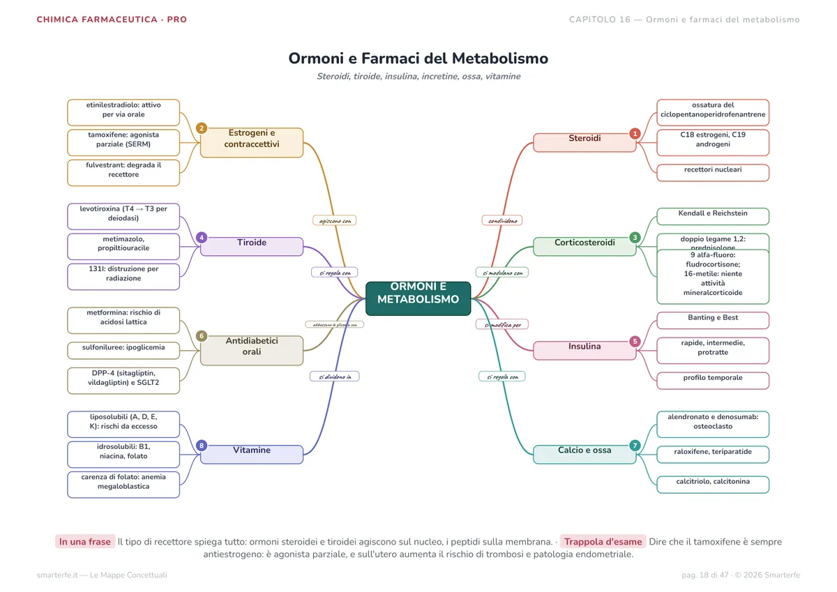 Mappe Concettuali