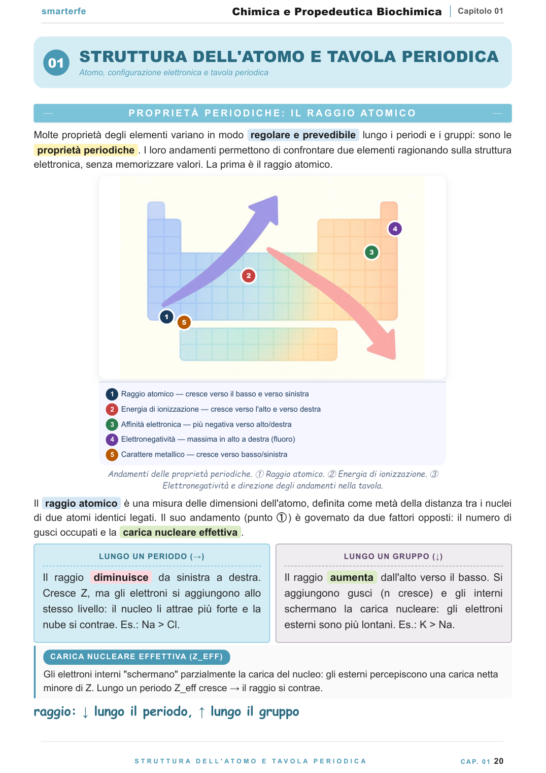 Copertina dispensa Chimica e Propedeutica Biochimica per il semestre filtro