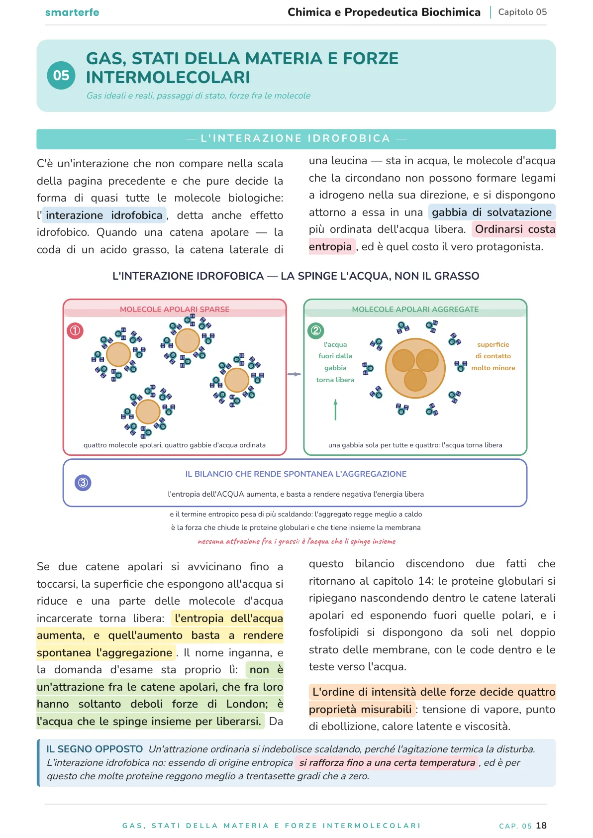 Una pagina del Manuale di Chimica e Propedeutica Biochimica: color code, due colonne, figura e box