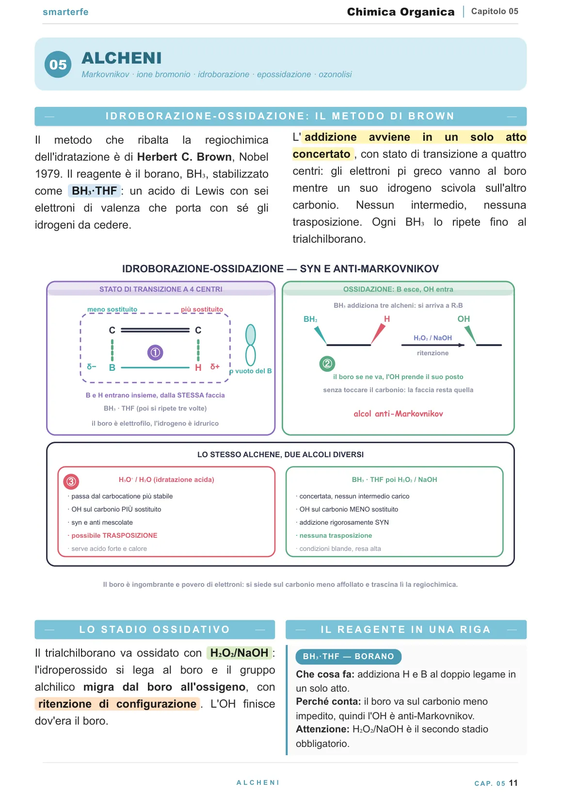 La stessa reazione sulle Dispense Smarter: meccanismo disegnato, passaggi numerati, confronto fra le due strade