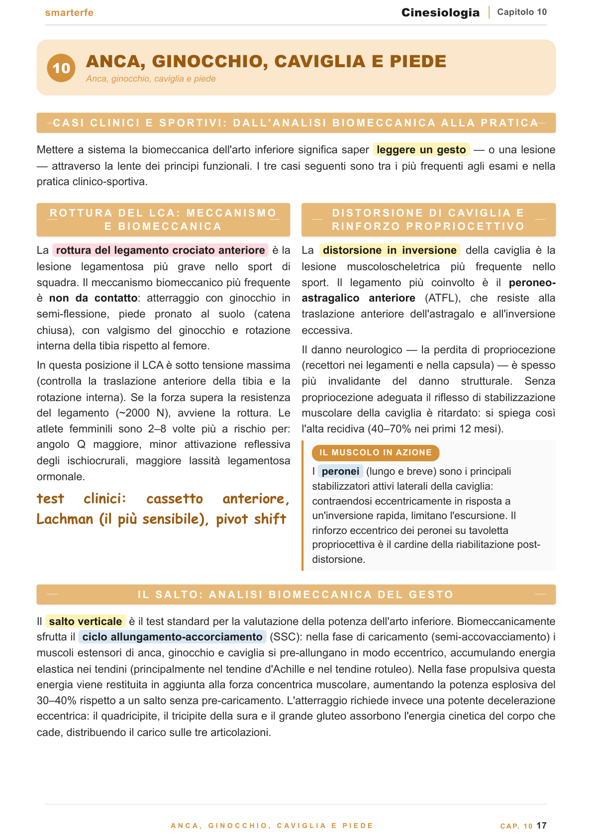 Dispense Cinesiologia Smarter — controllo e apprendimento motorio