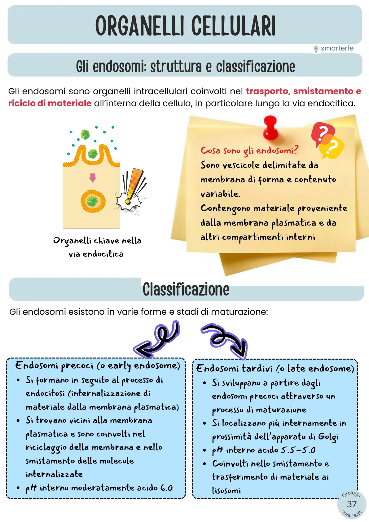 Lo stesso argomento sulle Dispense SmarterFe: schema, passaggi numerati, colori