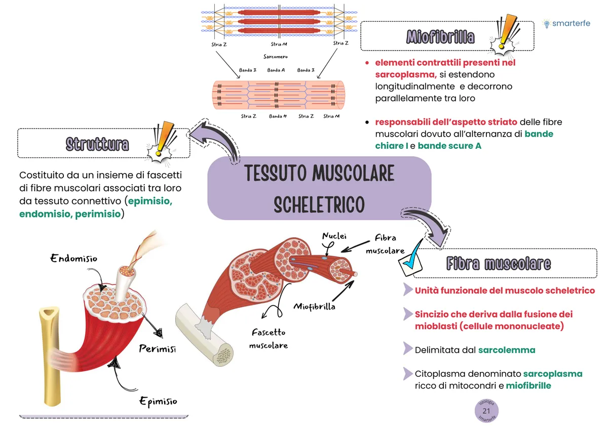 Fascicolo PRO