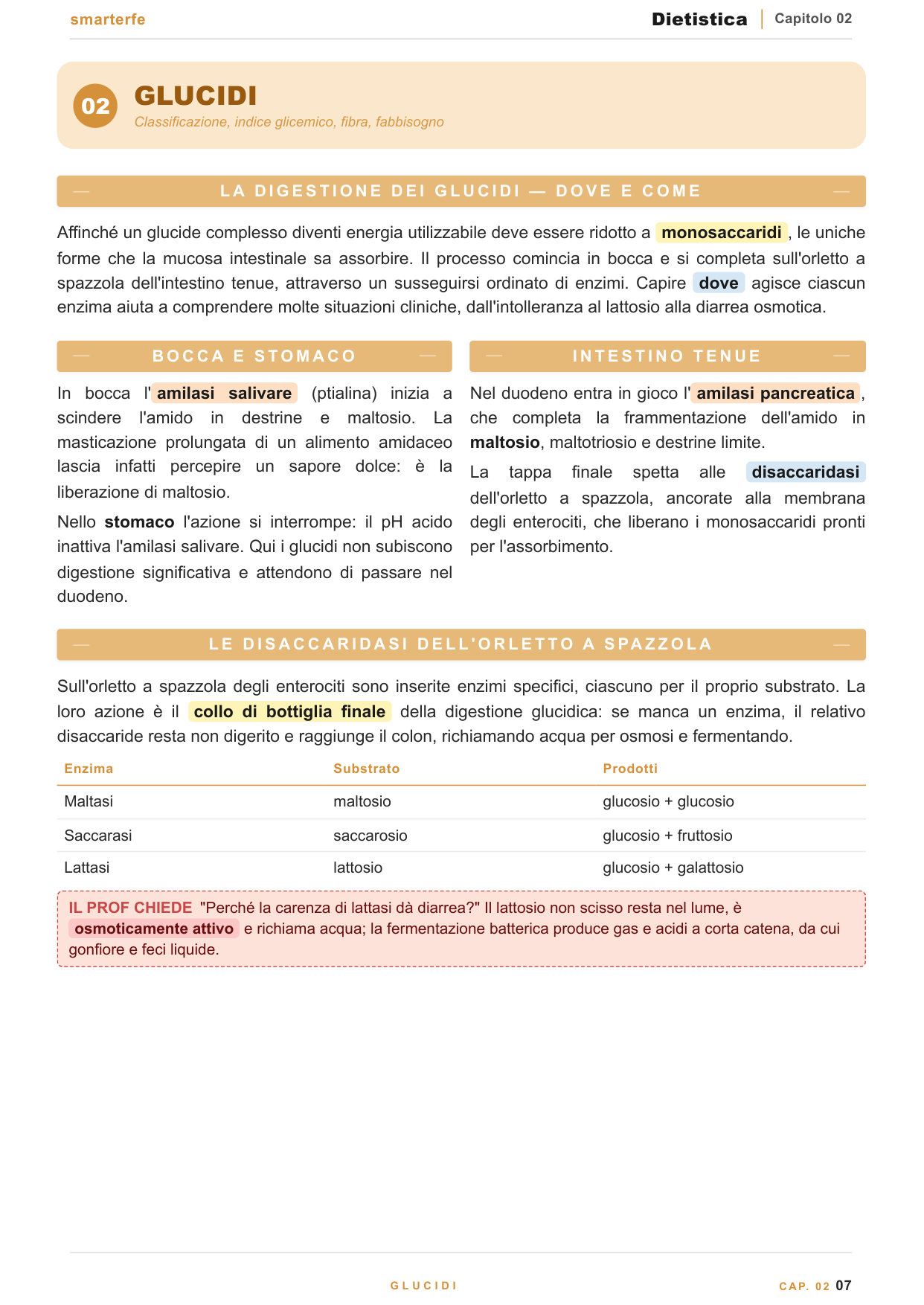 Lipidi: acidi grassi, colesterolo e lipoproteine