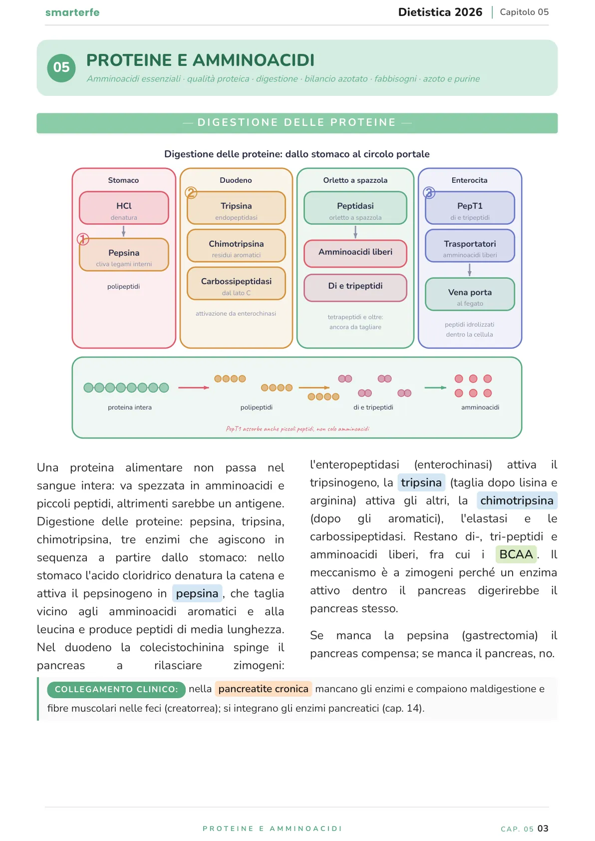 Lo stesso argomento sulle Dispense SmarterFe: schema, passaggi numerati, colori