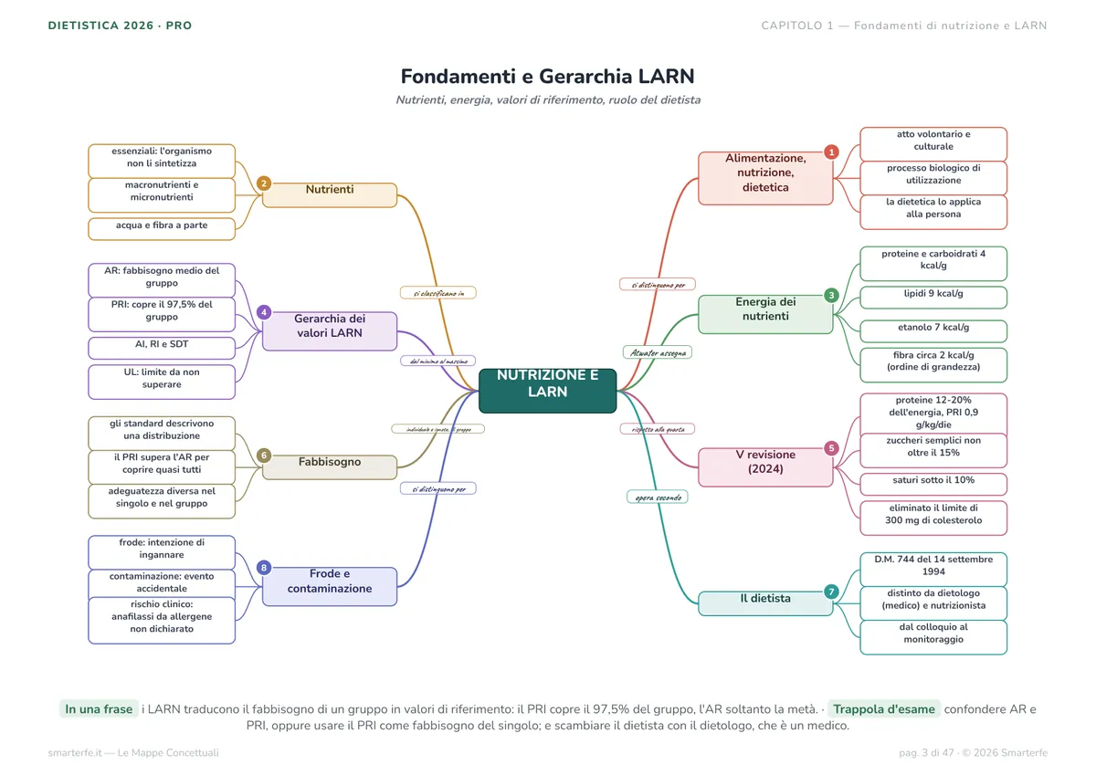 Mappe Concettuali