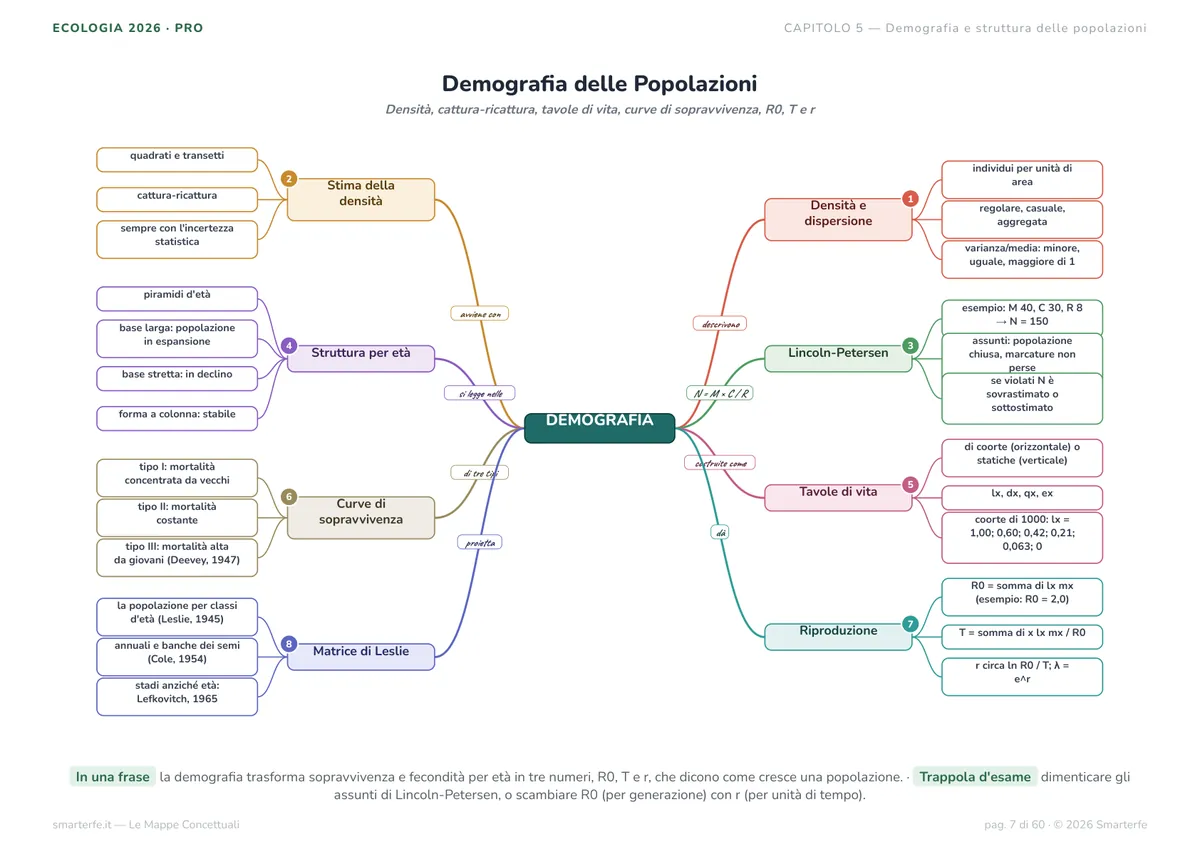 Mappe Concettuali