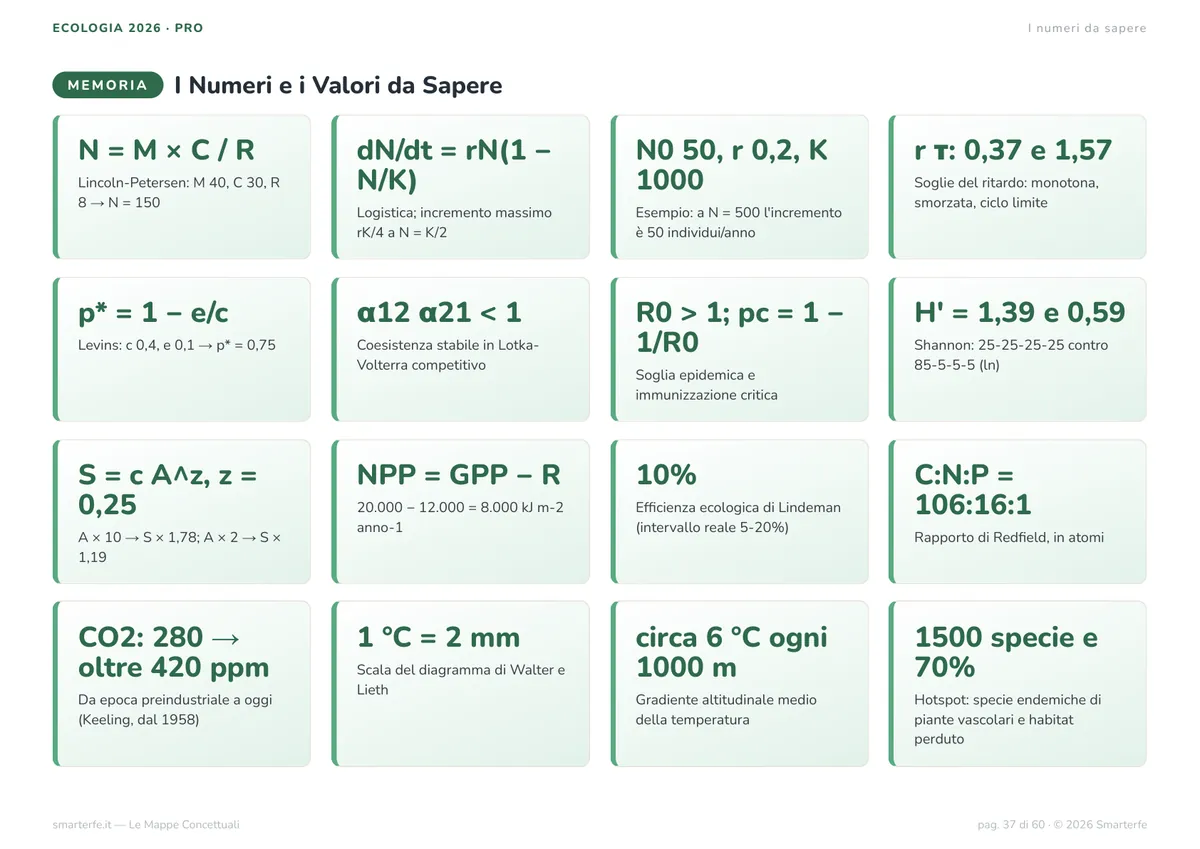 Mappe Concettuali