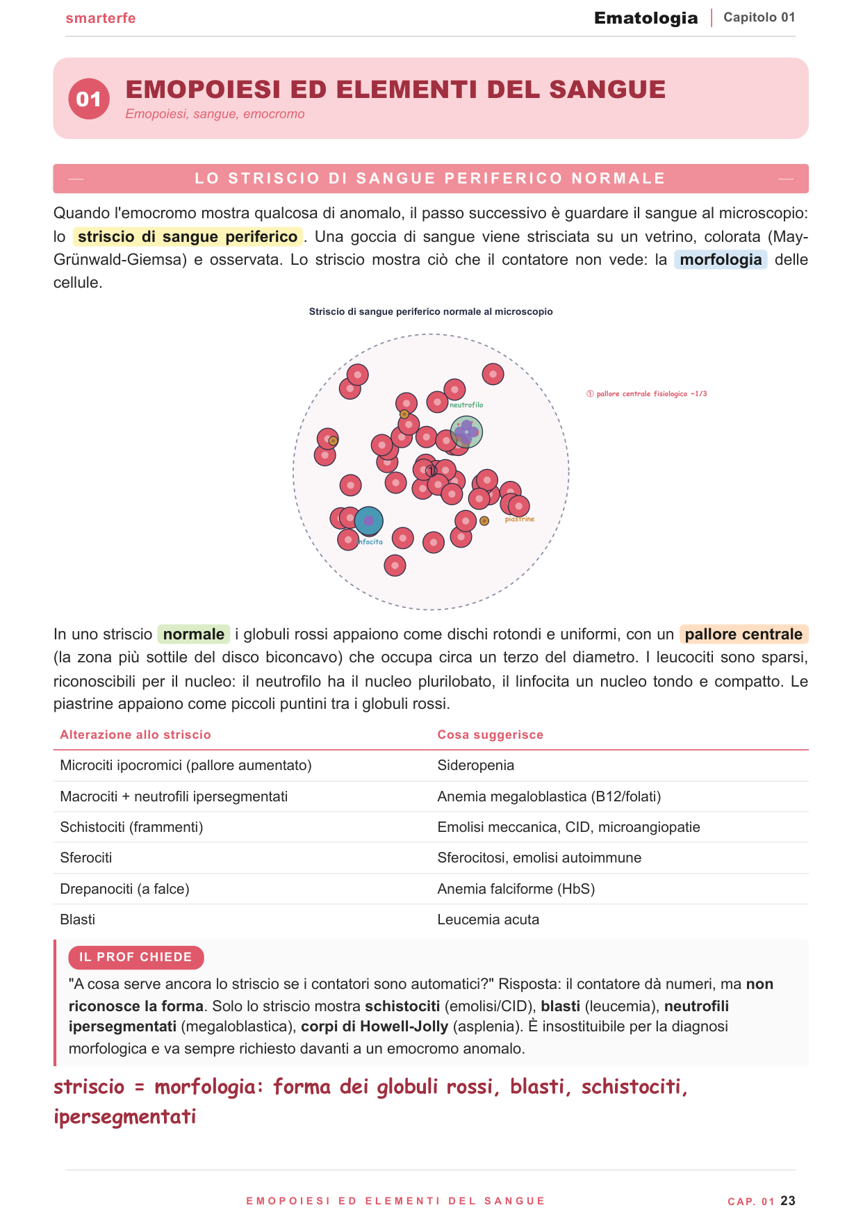 Copertina dispensa Ematologia