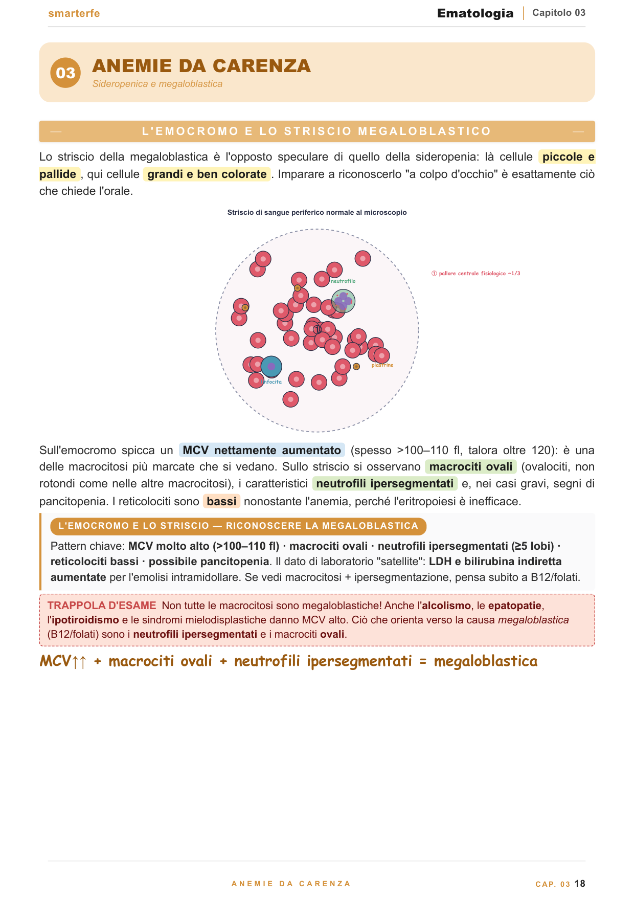 Dispense Ematologia Smarter