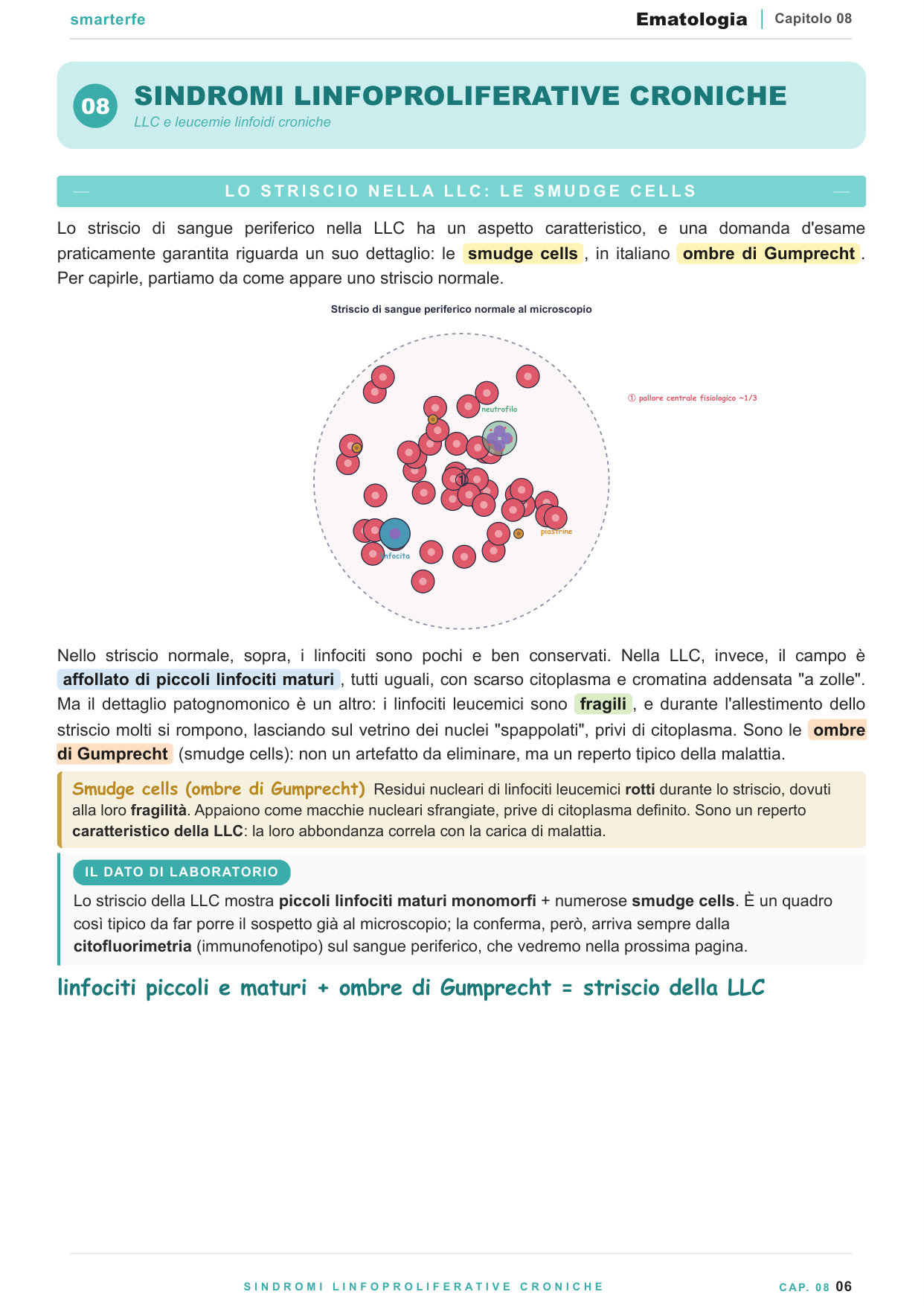 Leucemie acute e croniche: immunofenotipi e traslocazioni