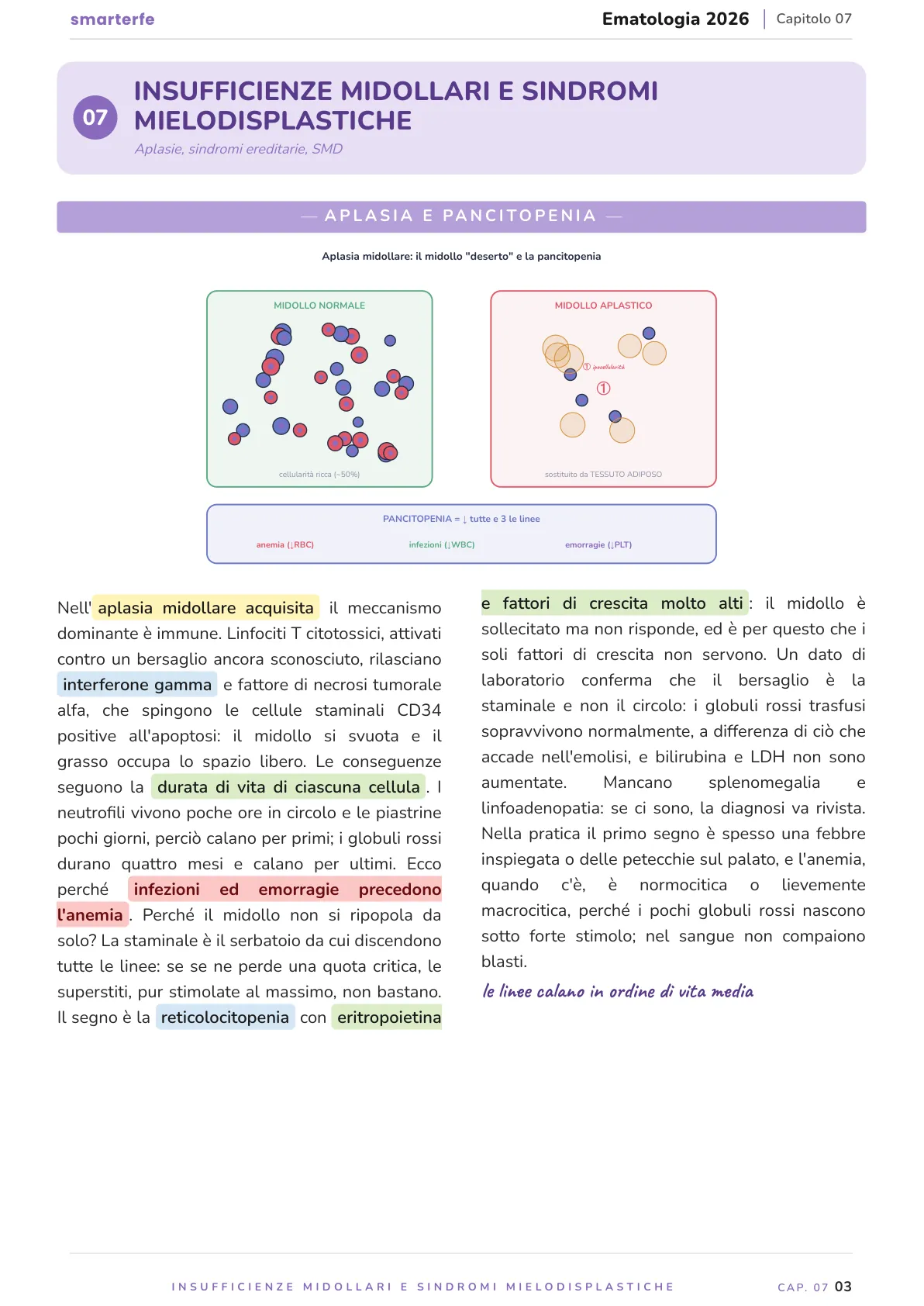 Lo stesso argomento sulle Dispense SmarterFe: schema, passaggi numerati, colori
