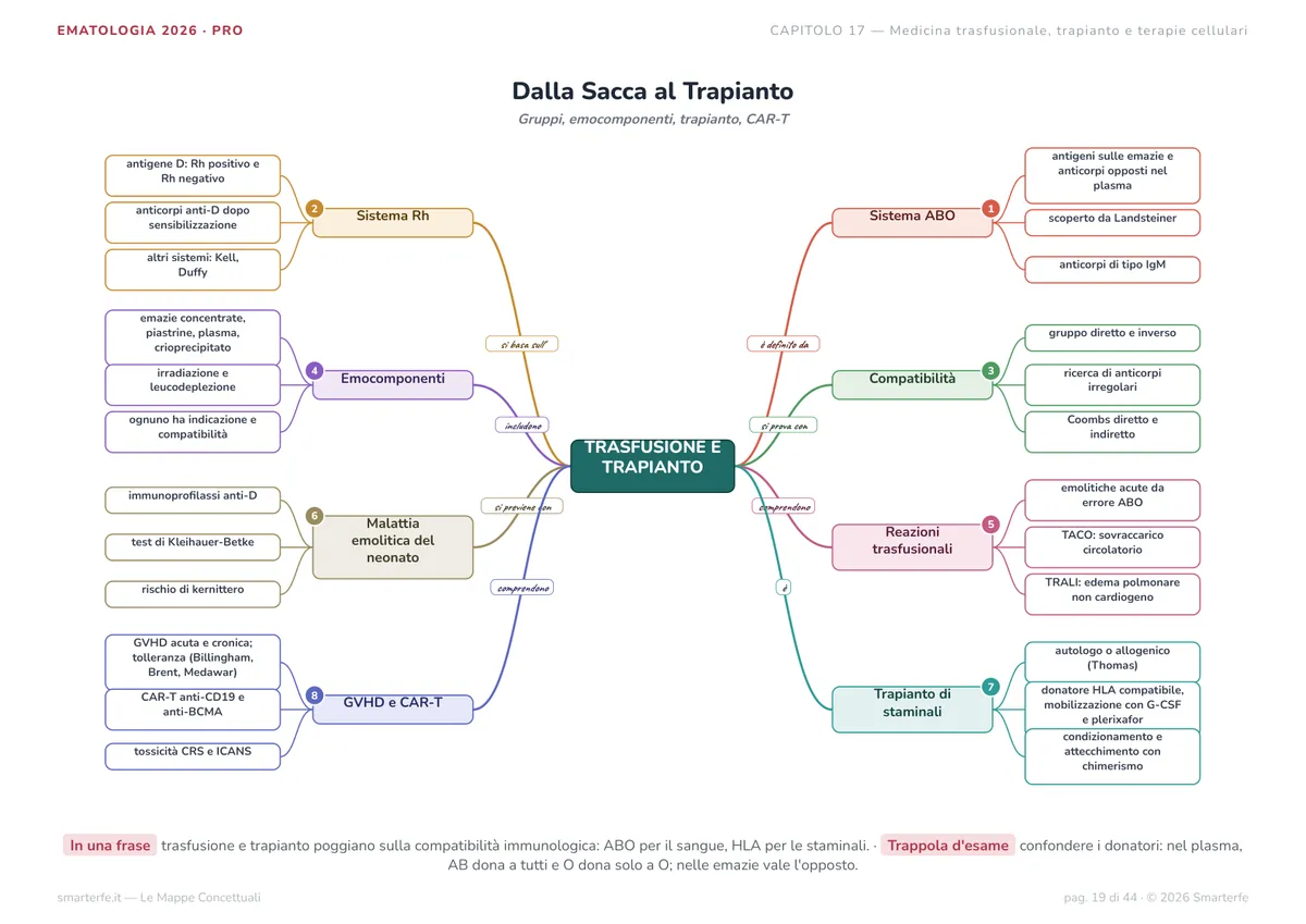 Mappe Concettuali