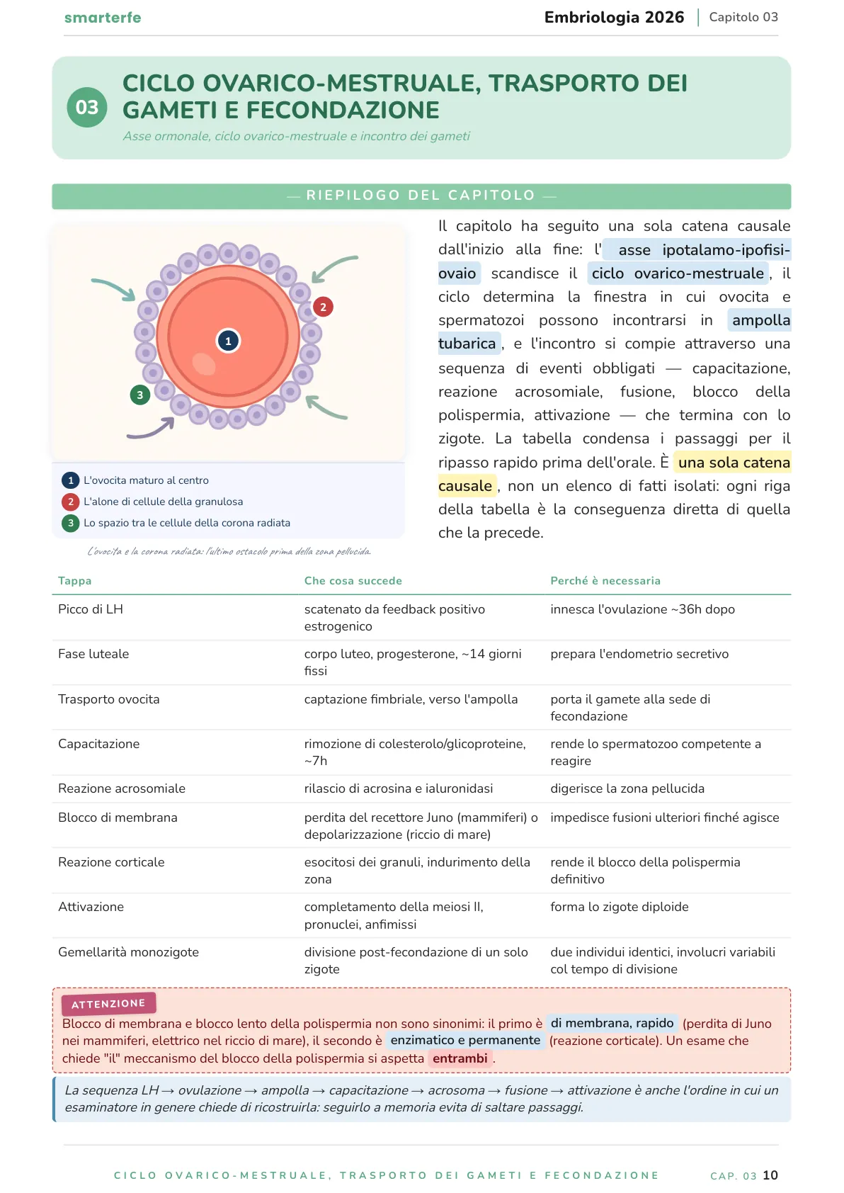 Lo stesso argomento sulle Dispense SmarterFe: schema, passaggi numerati, colori