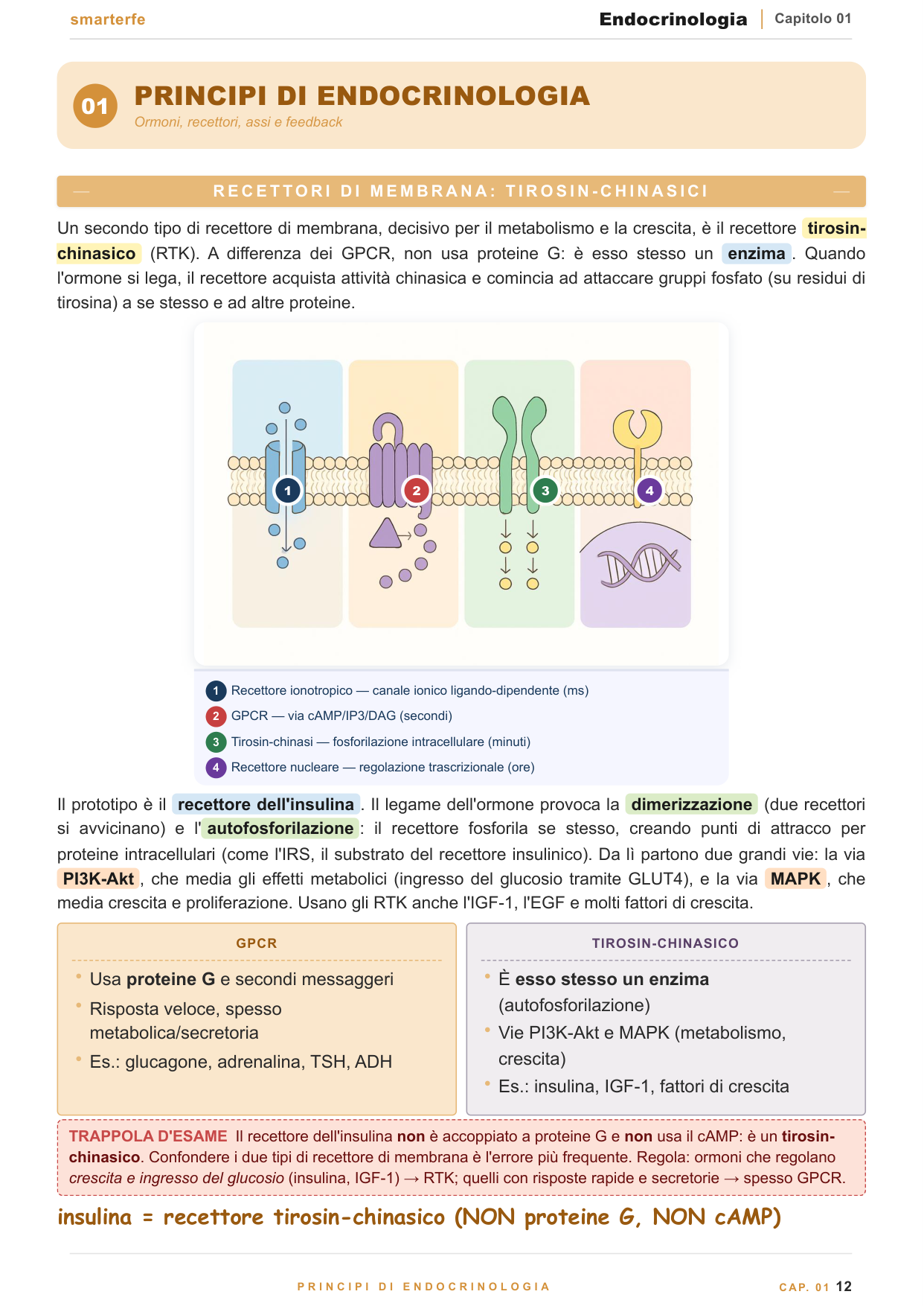 Copertina dispensa Endocrinologia