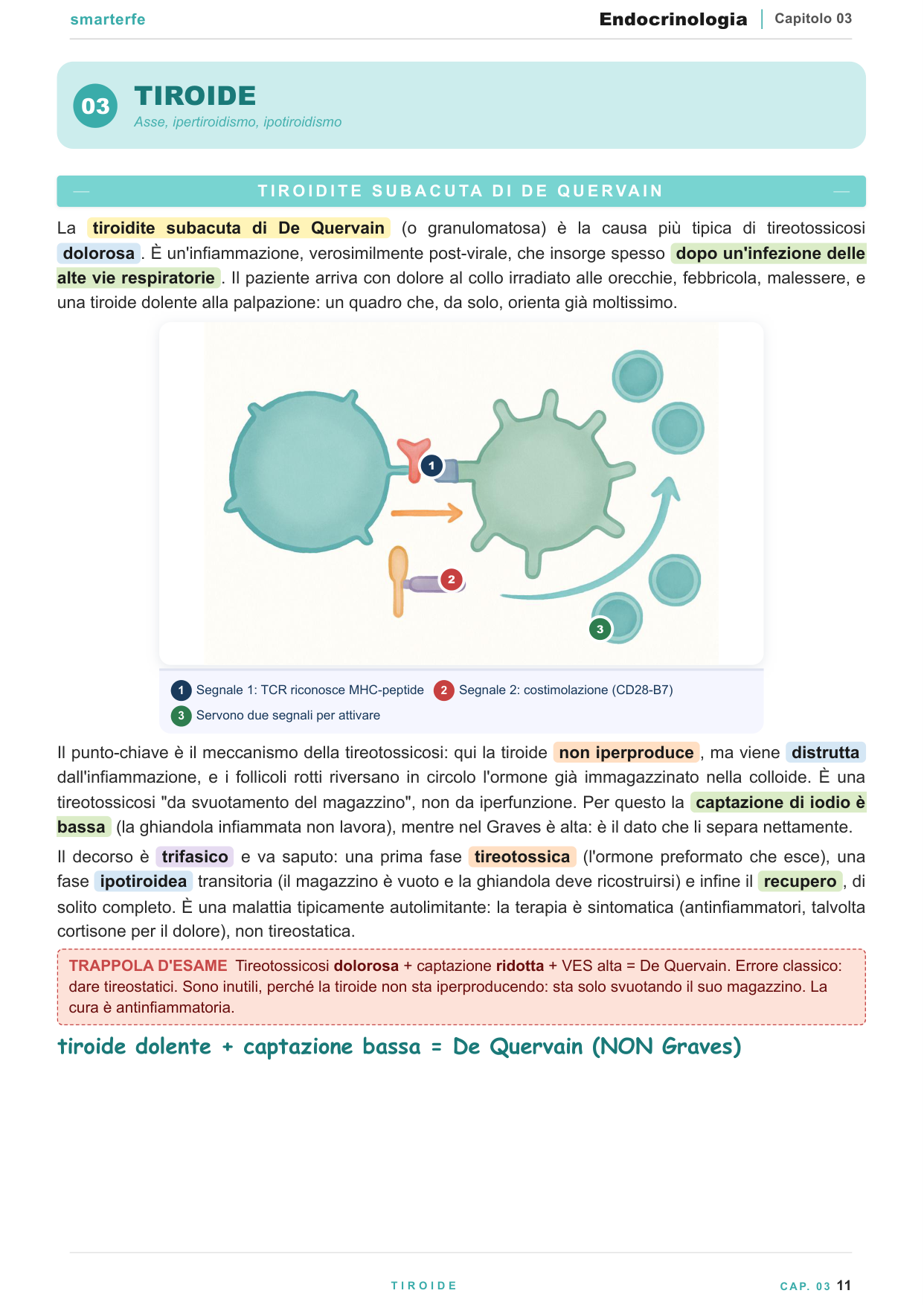 Dispense Endocrinologia Smarter