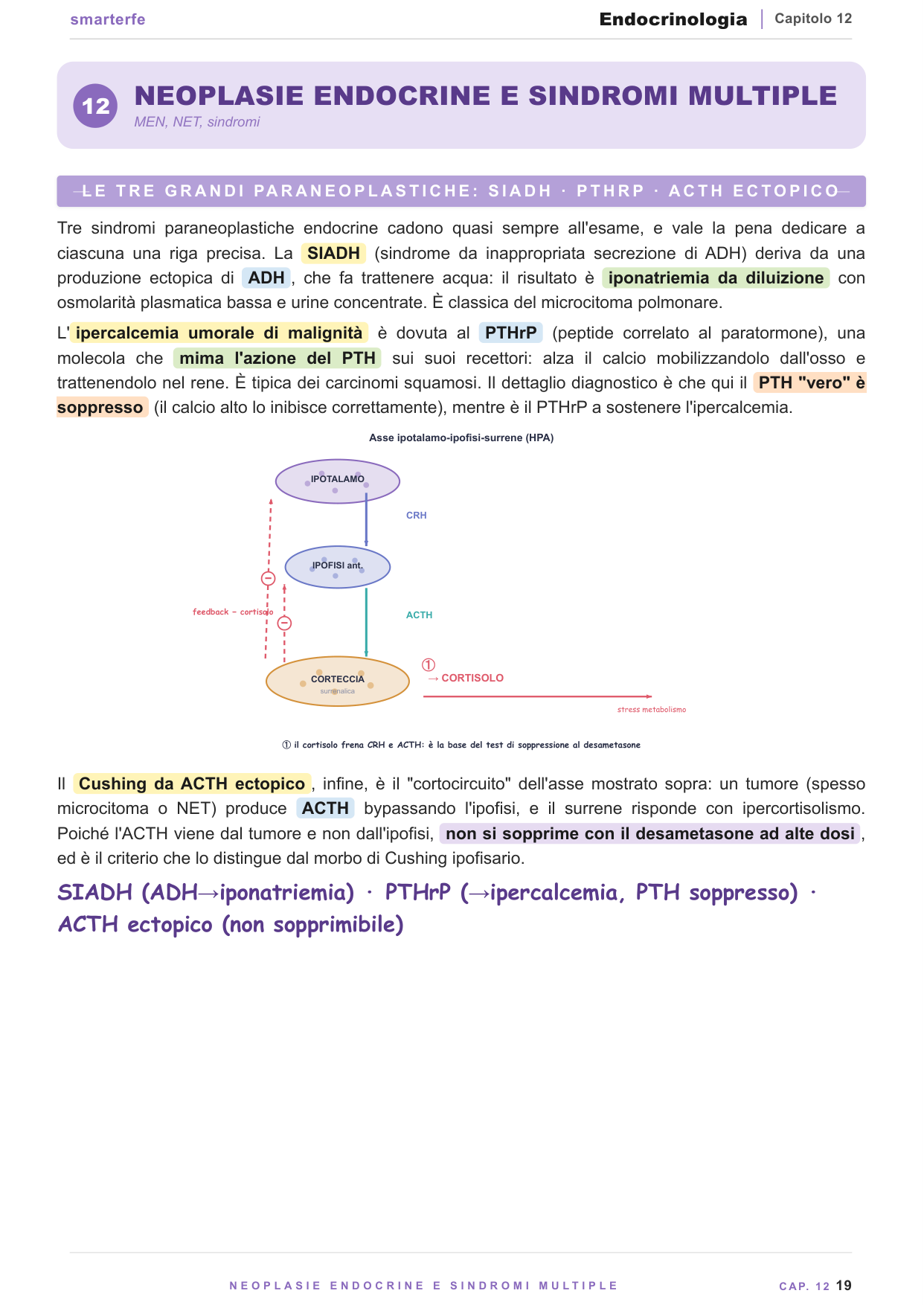 Diabete mellito: criteri diagnostici, OGTT, HbA1c e casi clinici svolti